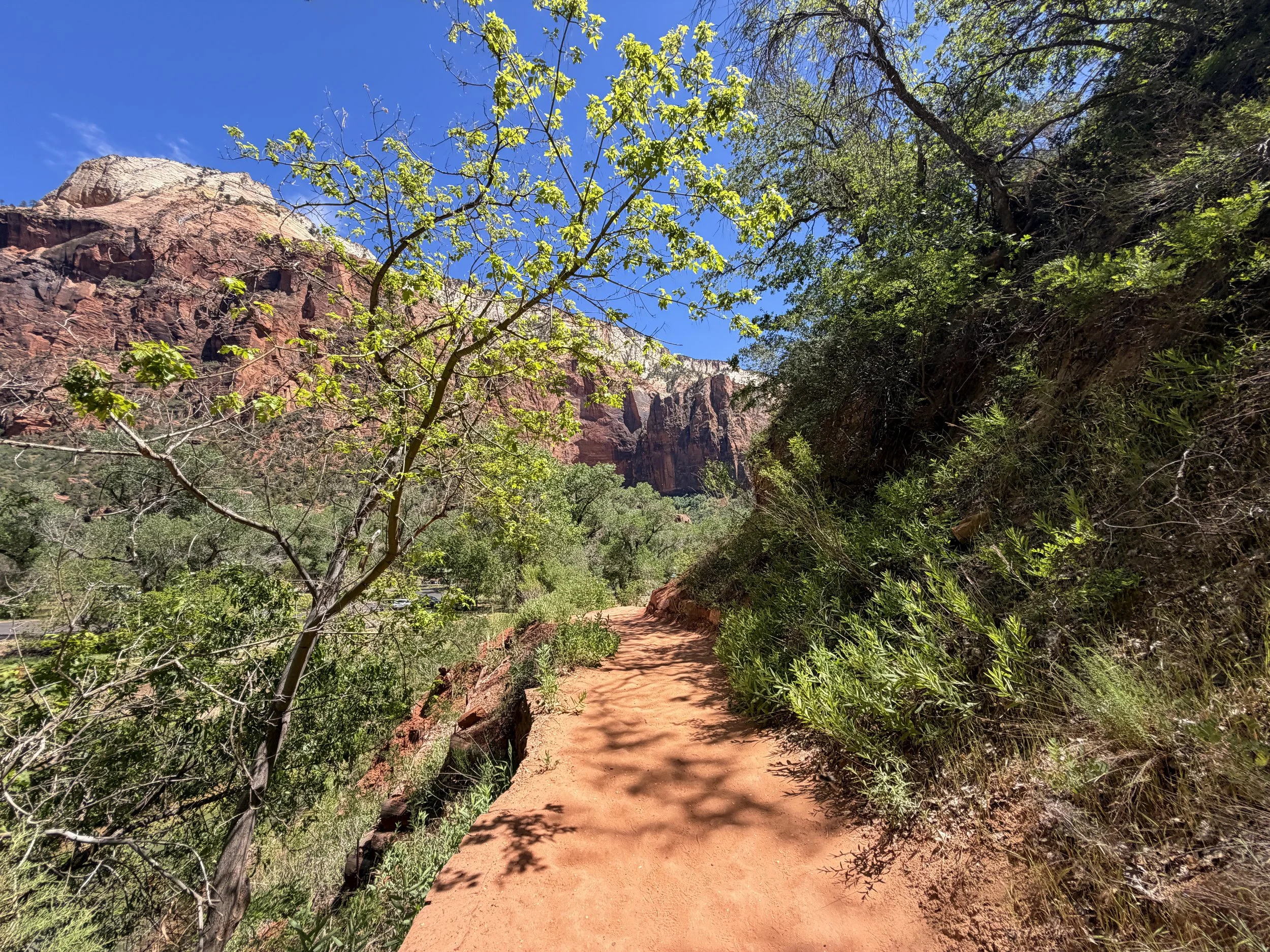 Sand Bench Trail via Emerald Pools Trail Zion National Park Utah