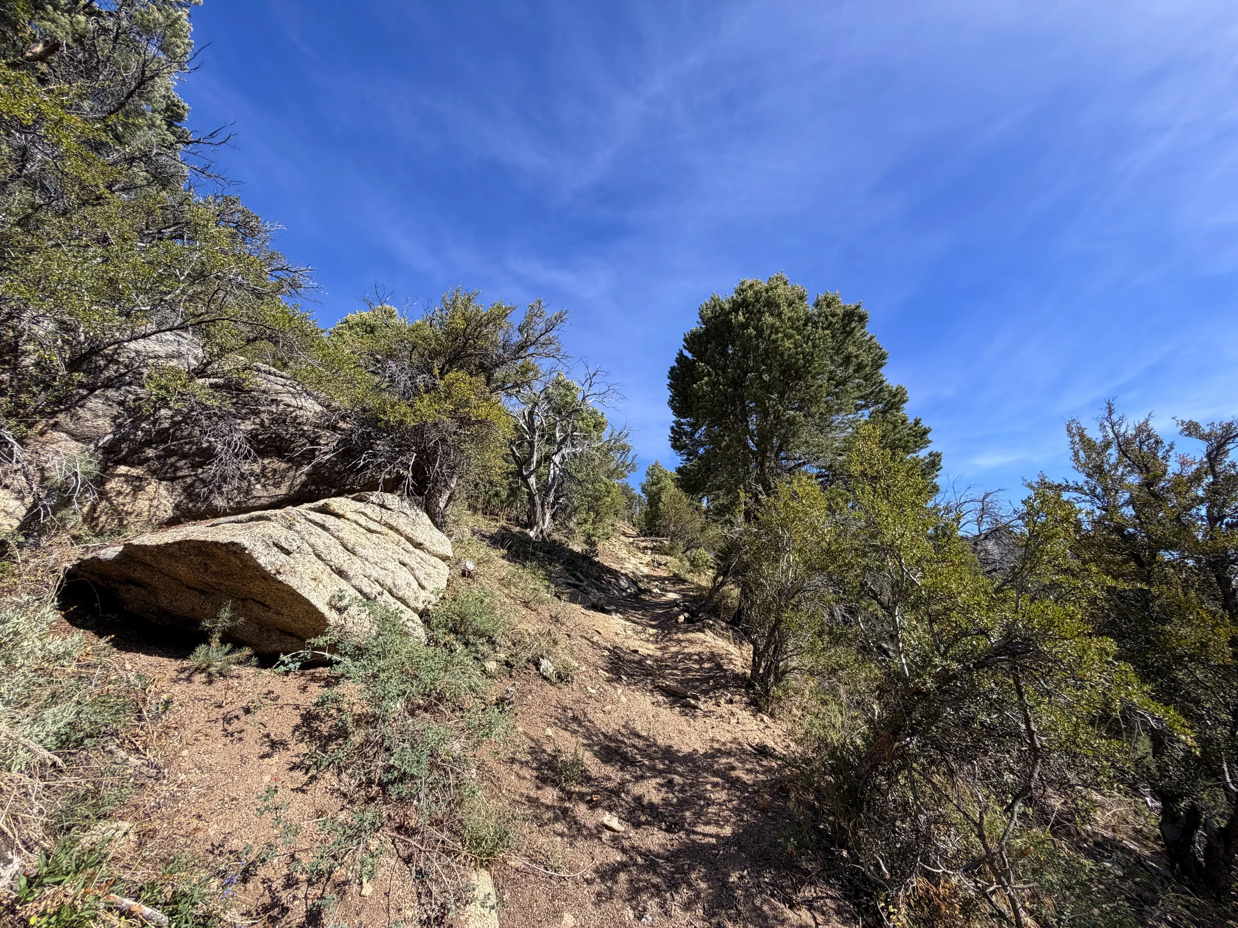 Pole Canyon Hike Great Basin National Park Nevada