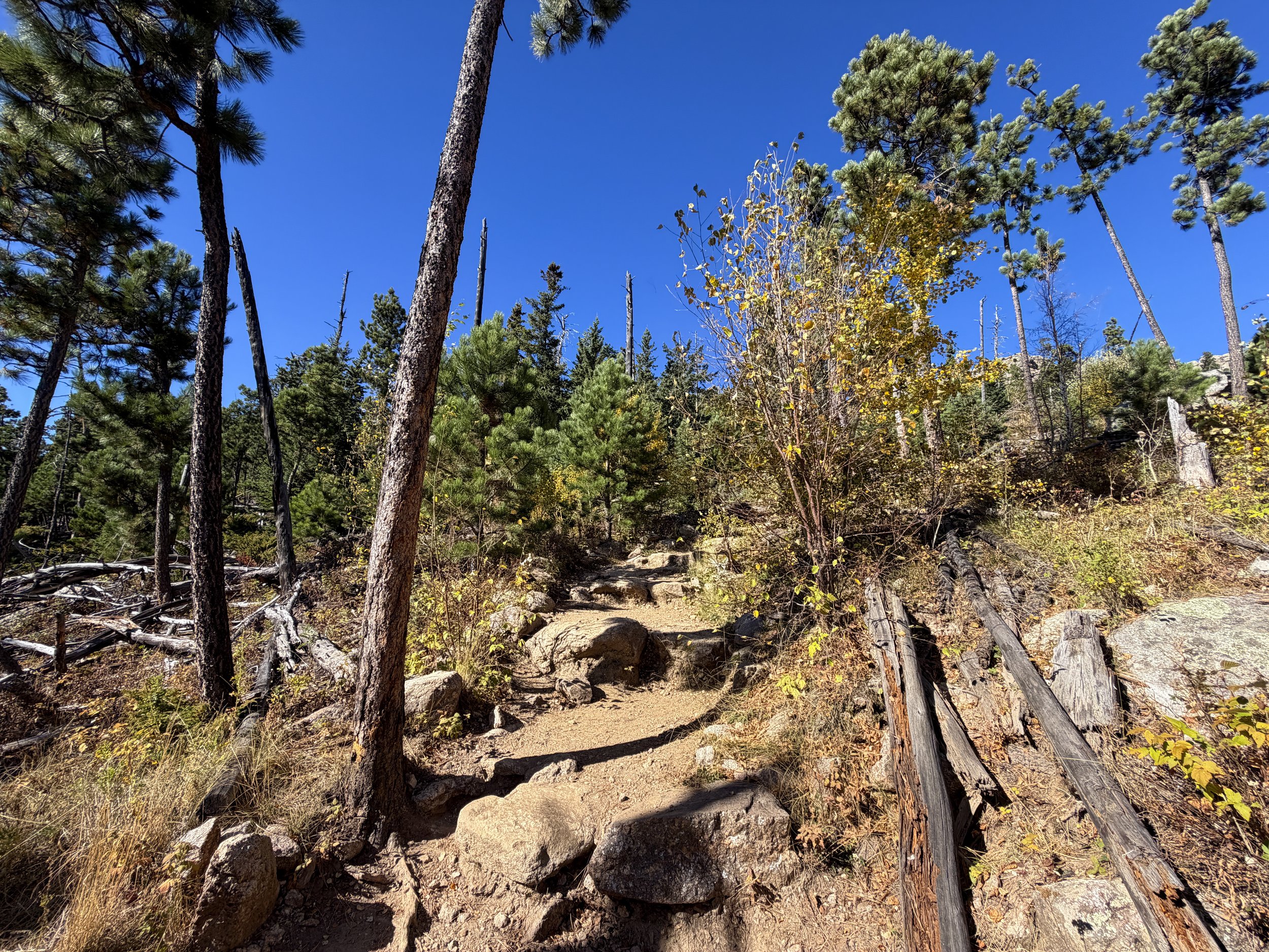 Black Elk Peak Hike via Custer State Park Black Hills South Dakota