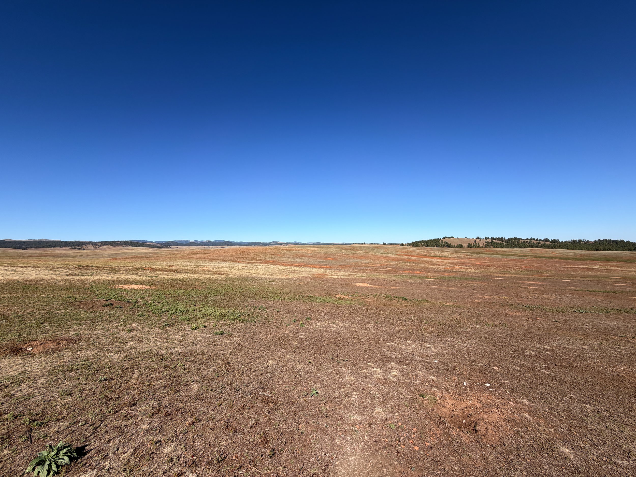 East Bison Flats Hike Wind Cave National Park South Dakota