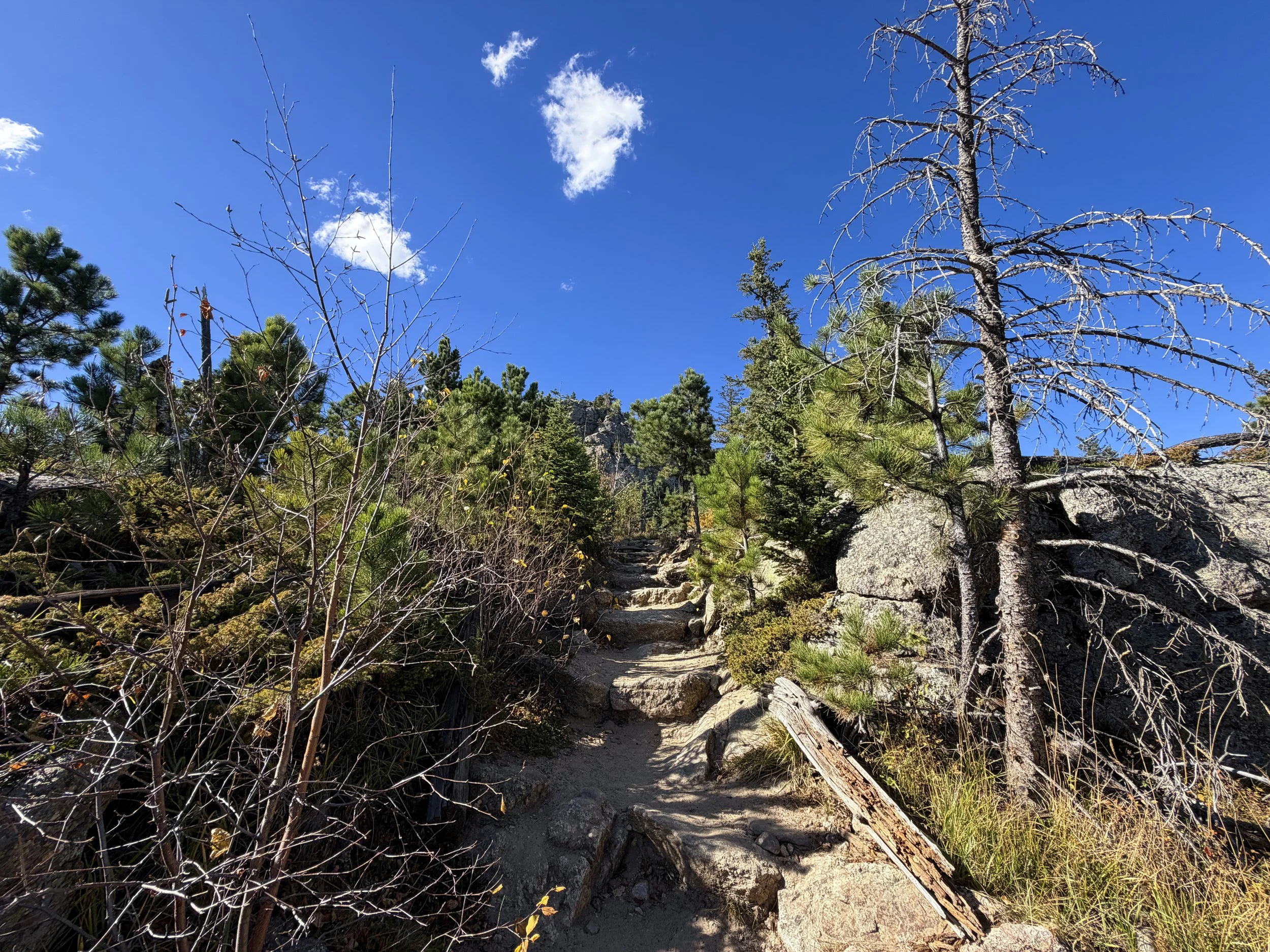 Black Elk Peak Trail to Harney Peak Lookout Black Hills South Dakota