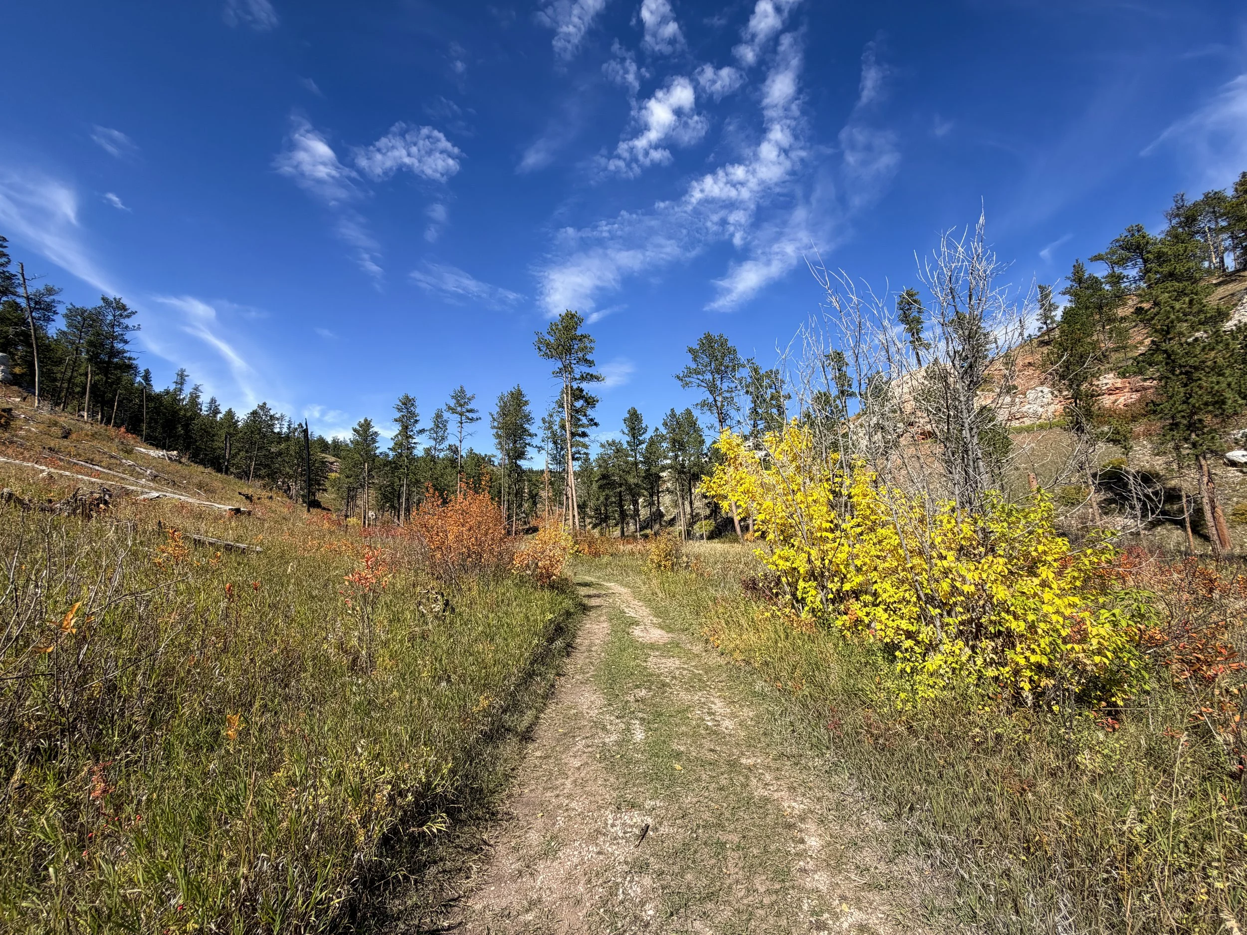 Canyons Trail Jewel Cave National Monument Black Hills South Dakota