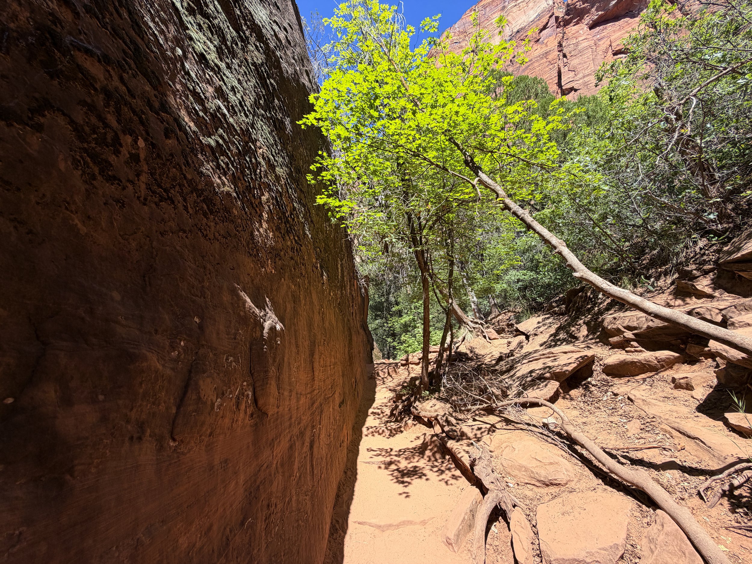Middle Emerald Pools Trail Zion National Park Utah