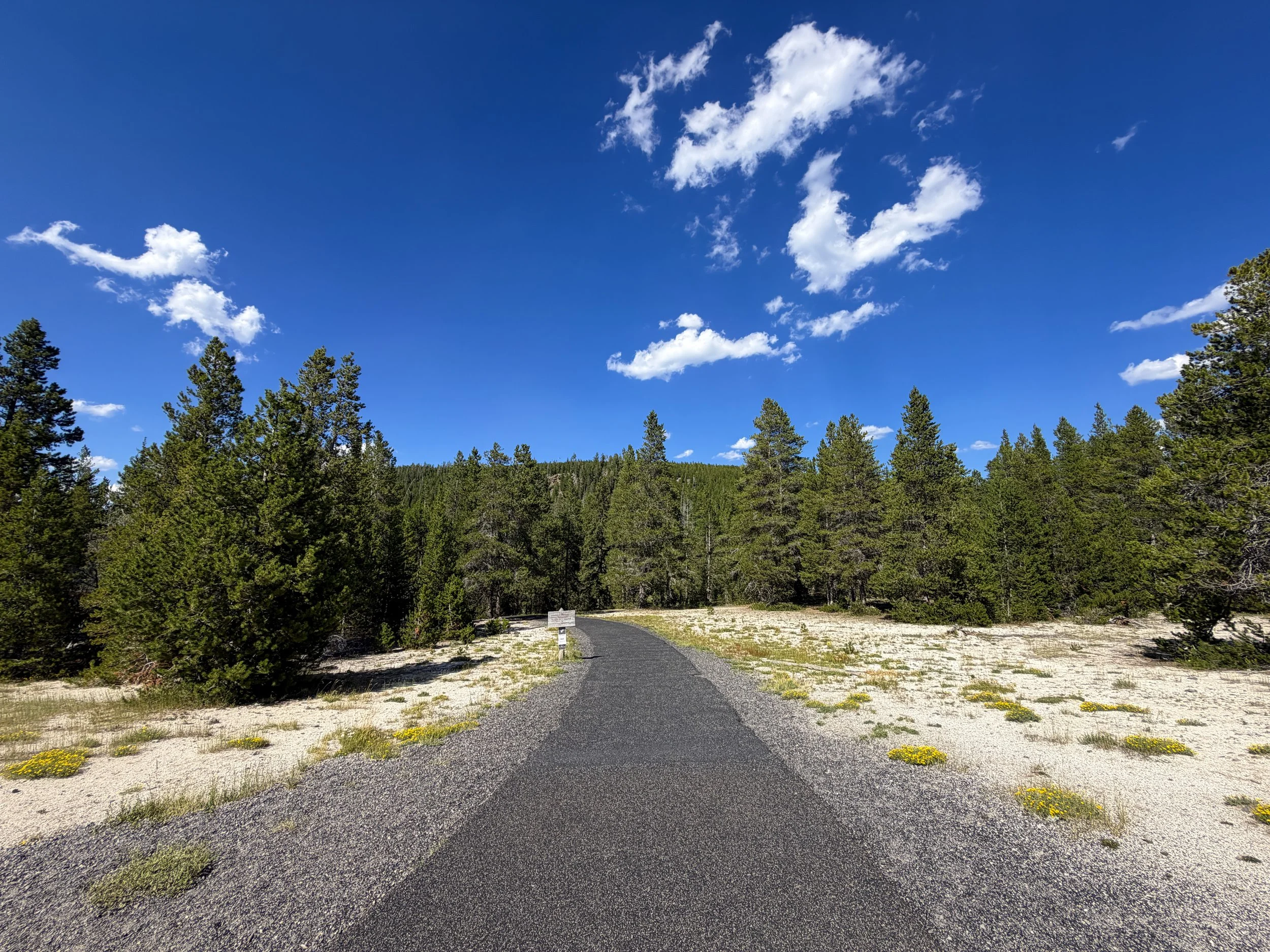 Upper Geyser Hill Trail Yellowstone National Park Wyoming