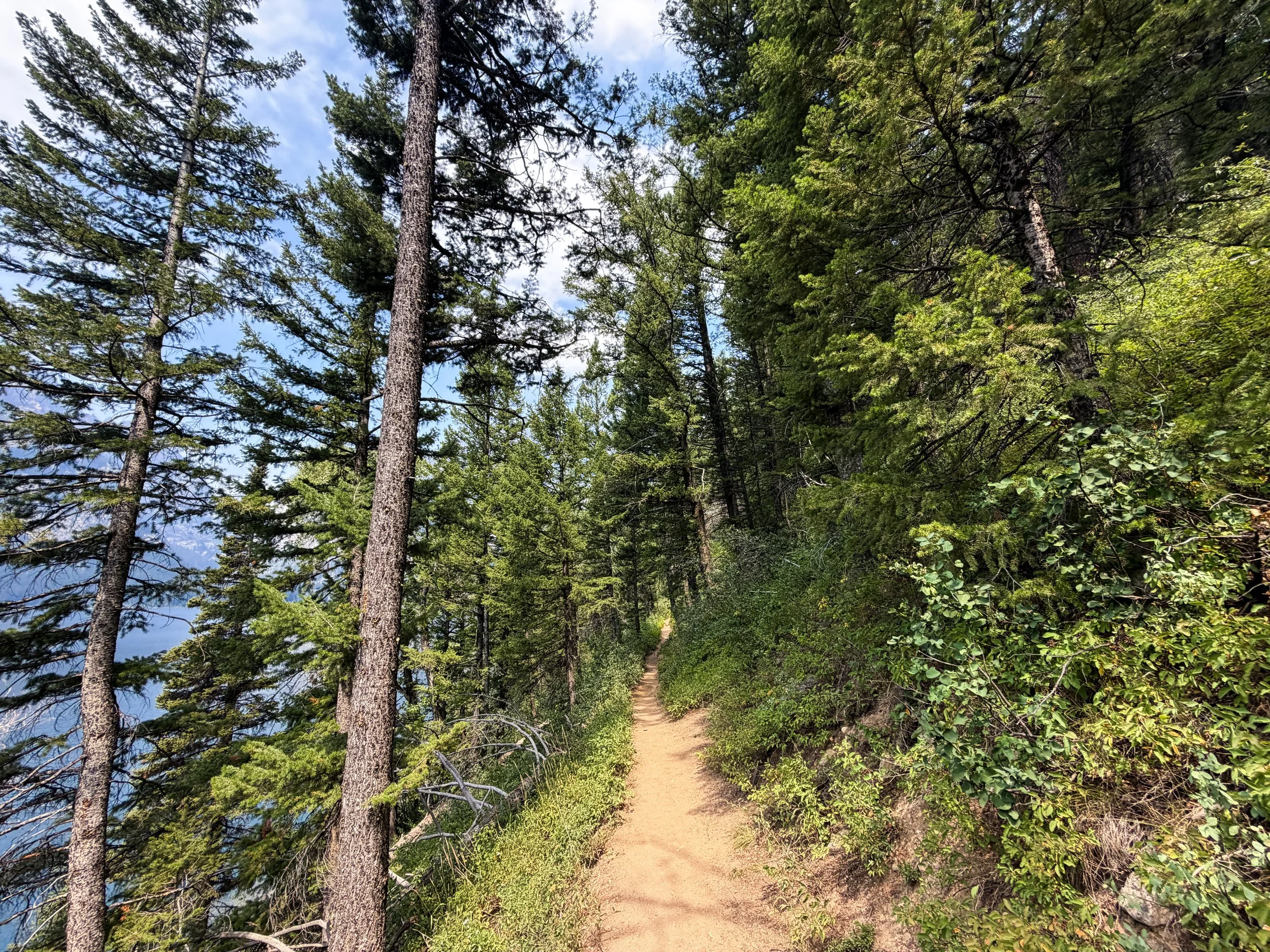 Phelps Lake Trail to Jumping Rock Grand Teton National Park Wyoming