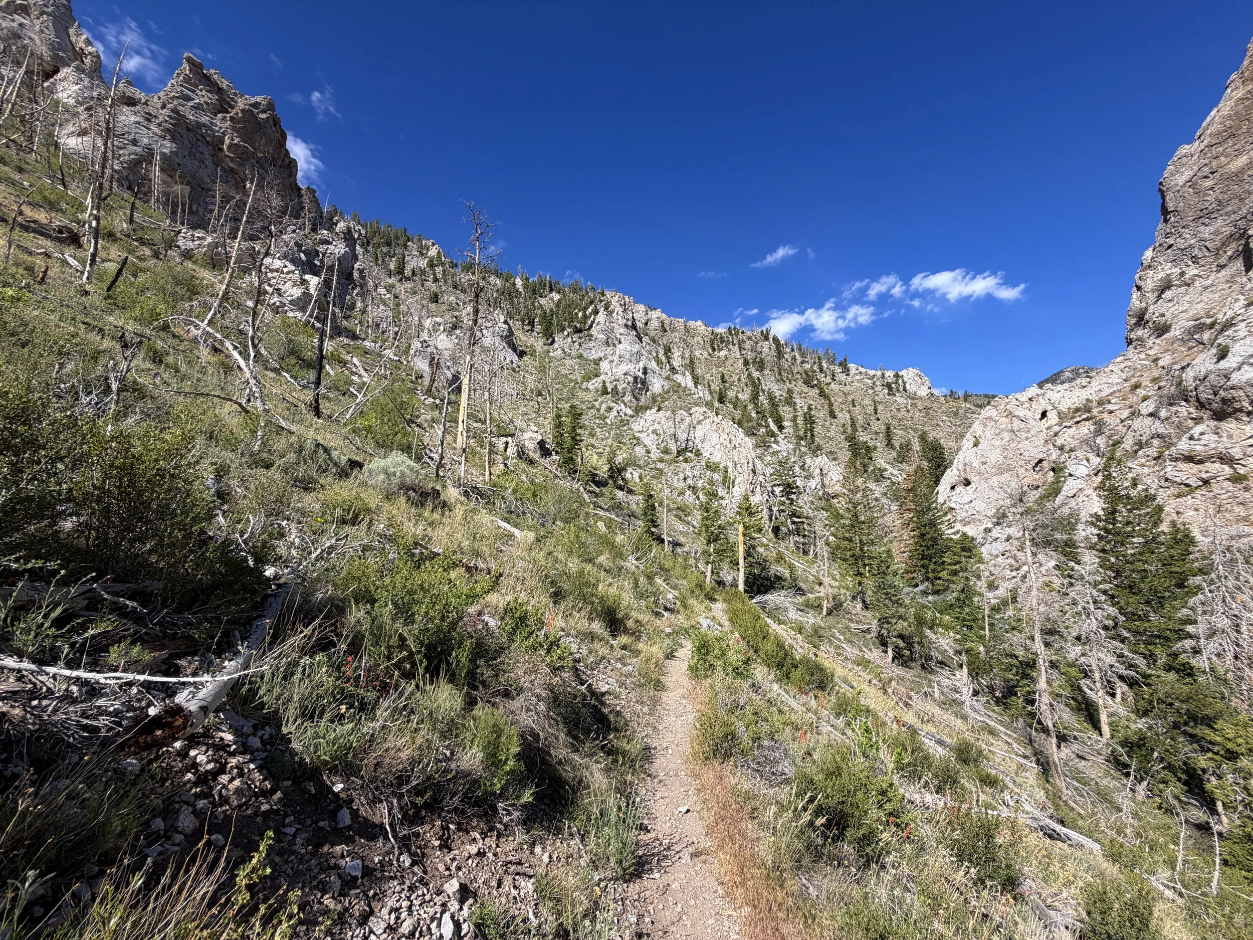 Lexington Arch Trail Great Basin National Park Nevada
