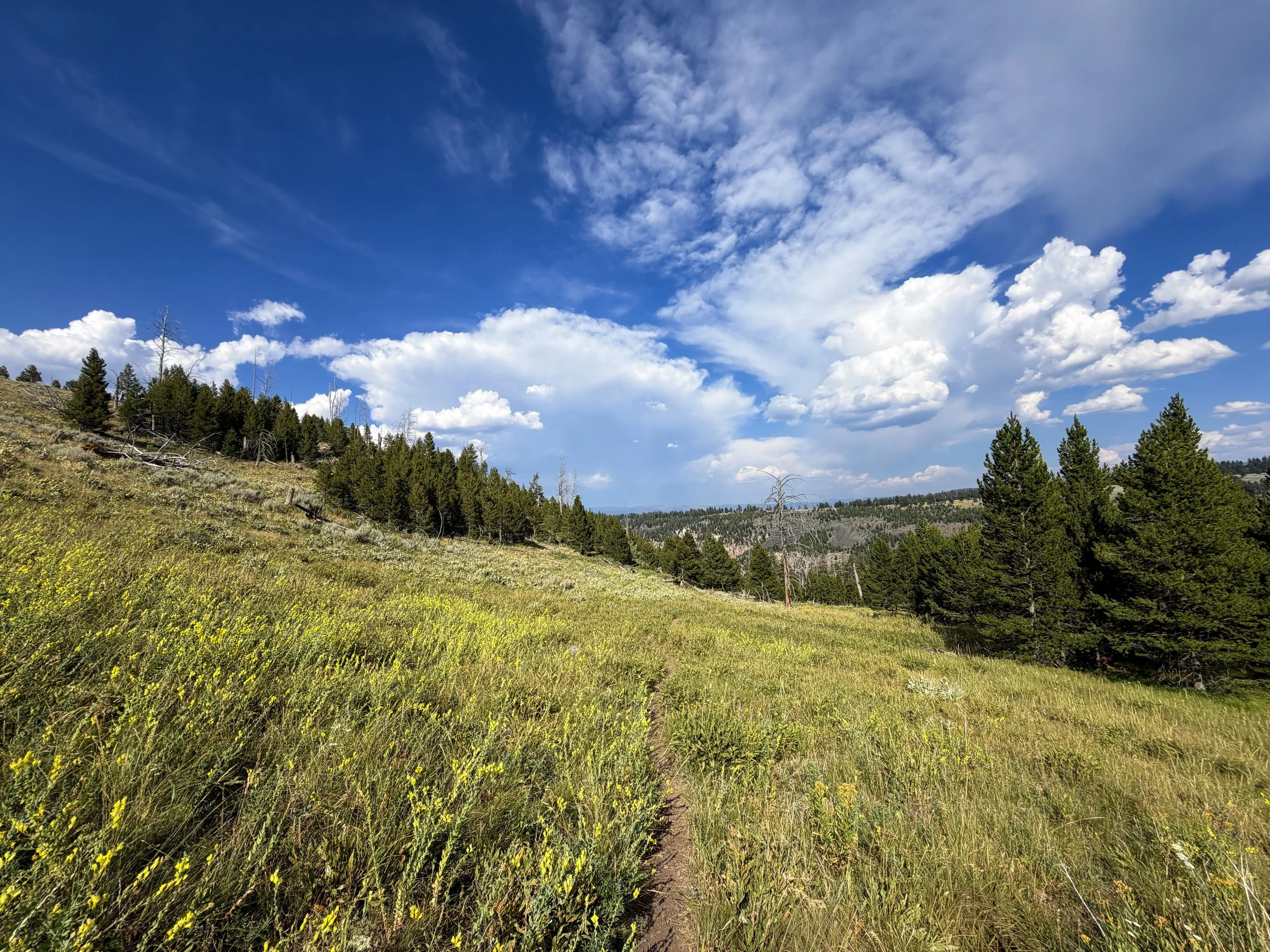 Bunsen Peak Trail Yellowstone National Park Wyoming