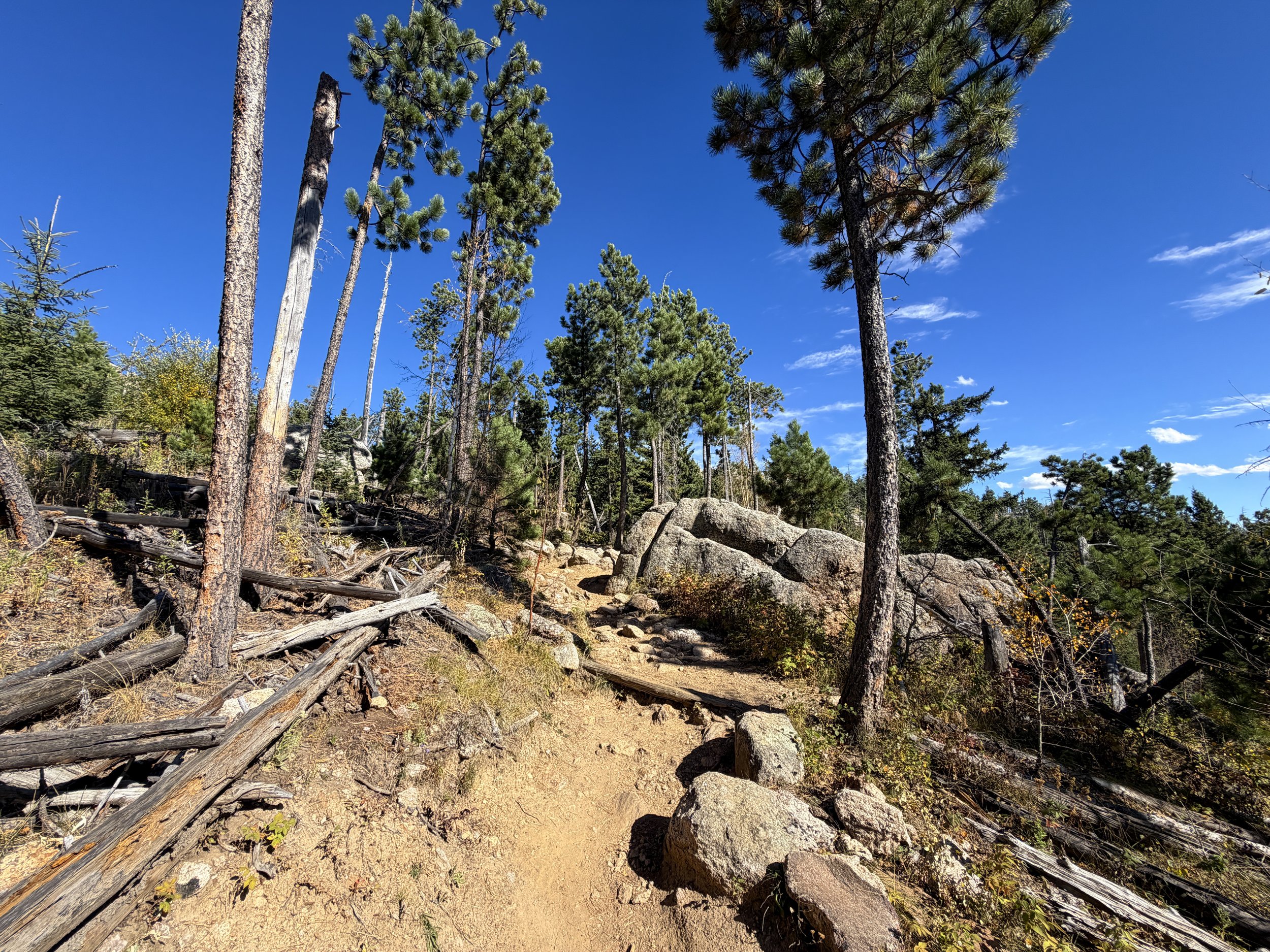 Black Elk Peak Hike via Custer State Park Black Hills South Dakota