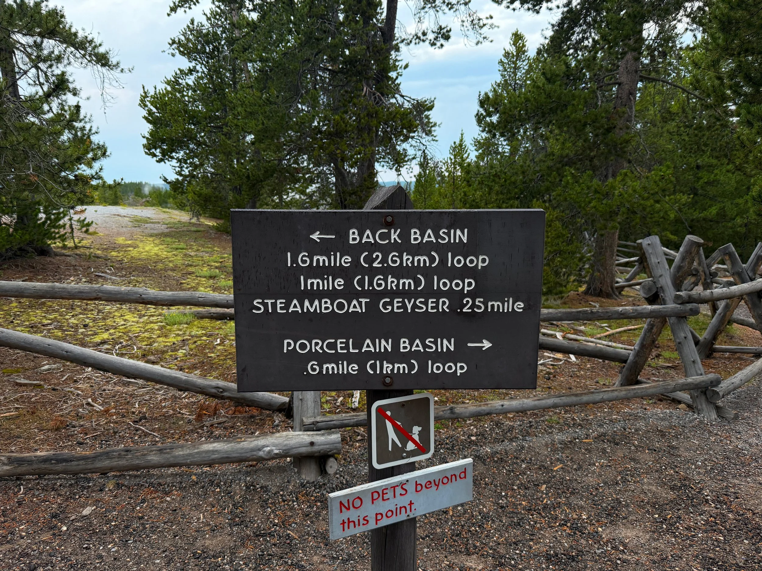 Norris Geyser Basin Trail Yellowstone National Park Wyoming