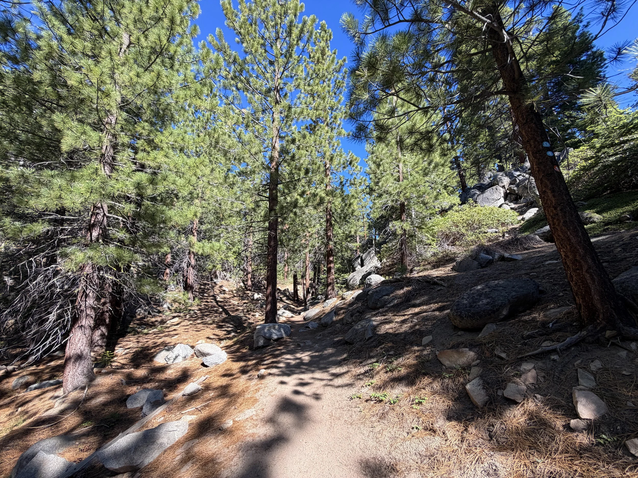 Castle Rock Trail Lake Tahoe Nevada