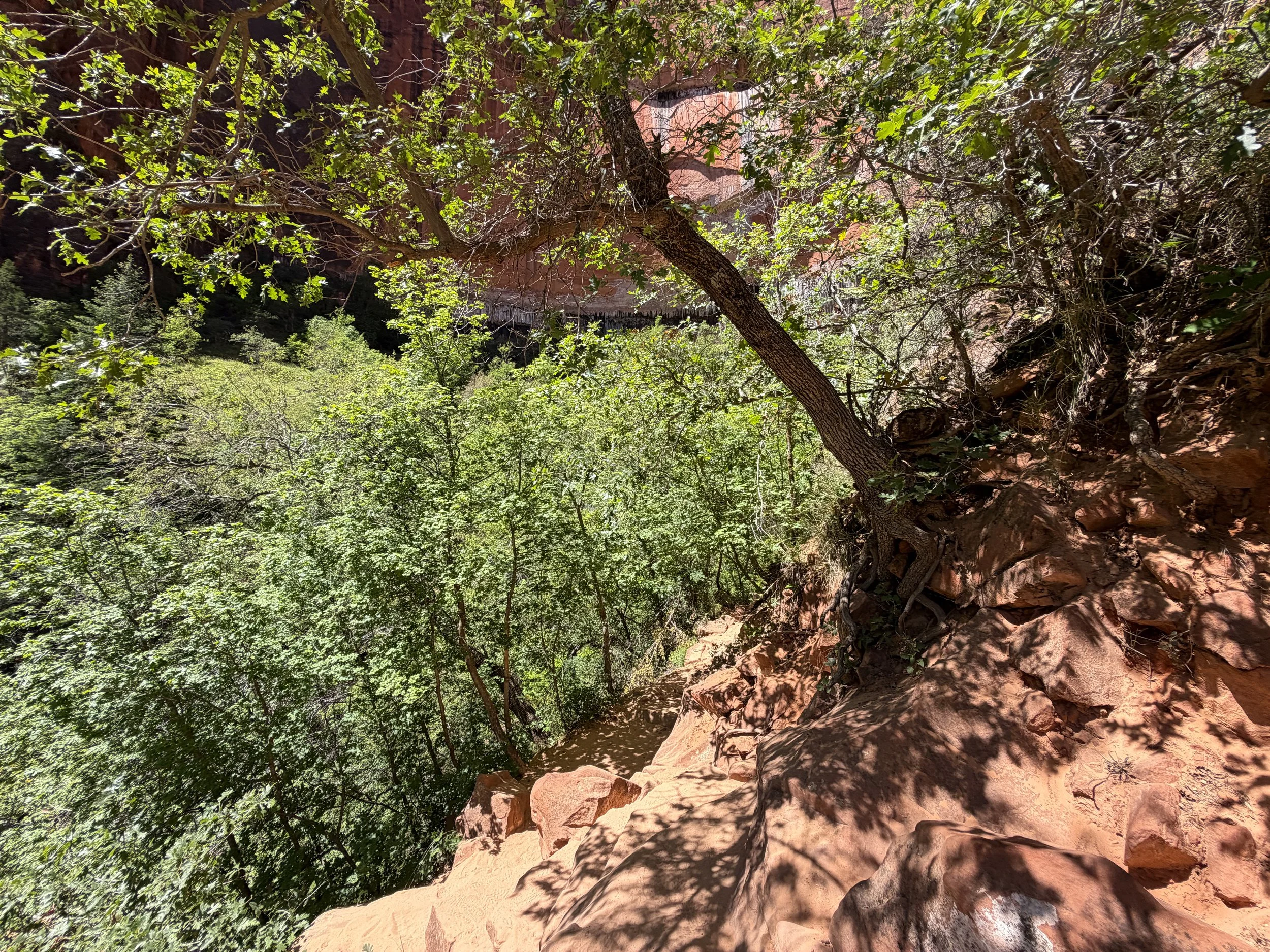 Upper Emerald Pool Trail Zion National Park Utah