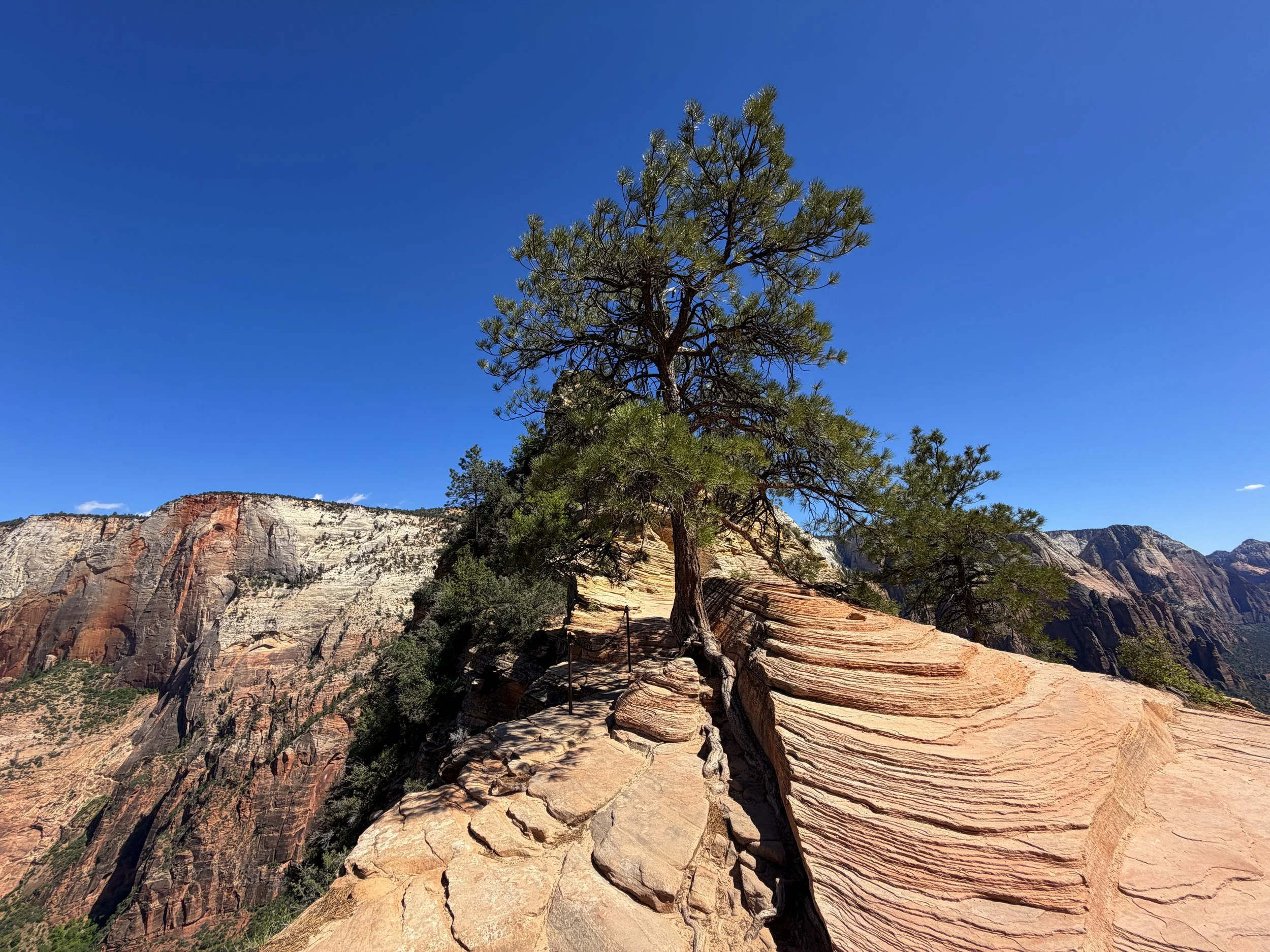 Angels Landing Trail Chains Zion National Park Utah
