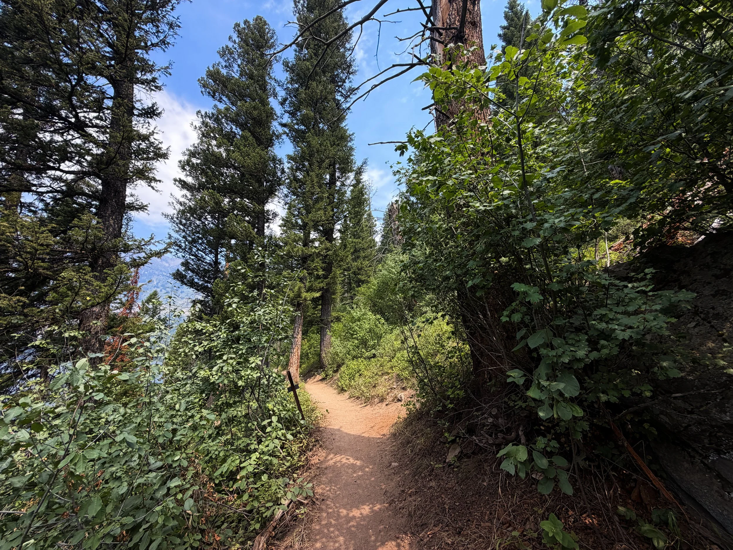 Phelps Lake Trail to Cliff Jumping Rock Grand Teton National Park Wyoming