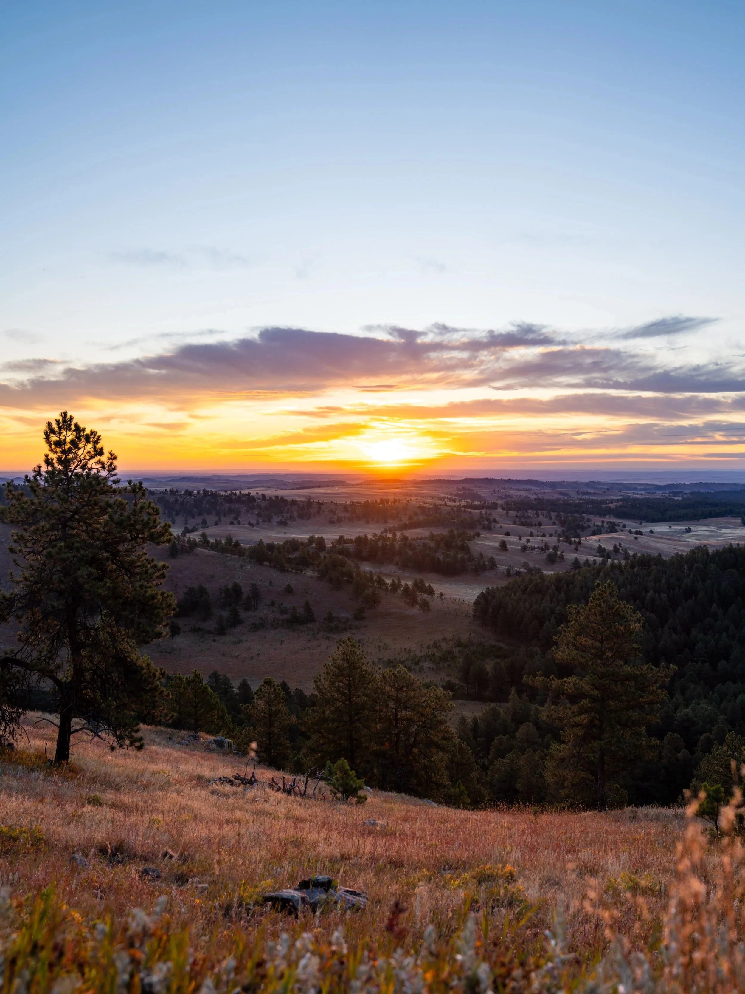 Rankin Ridge Trail Sunrise Wind Cave National Park South Dakota