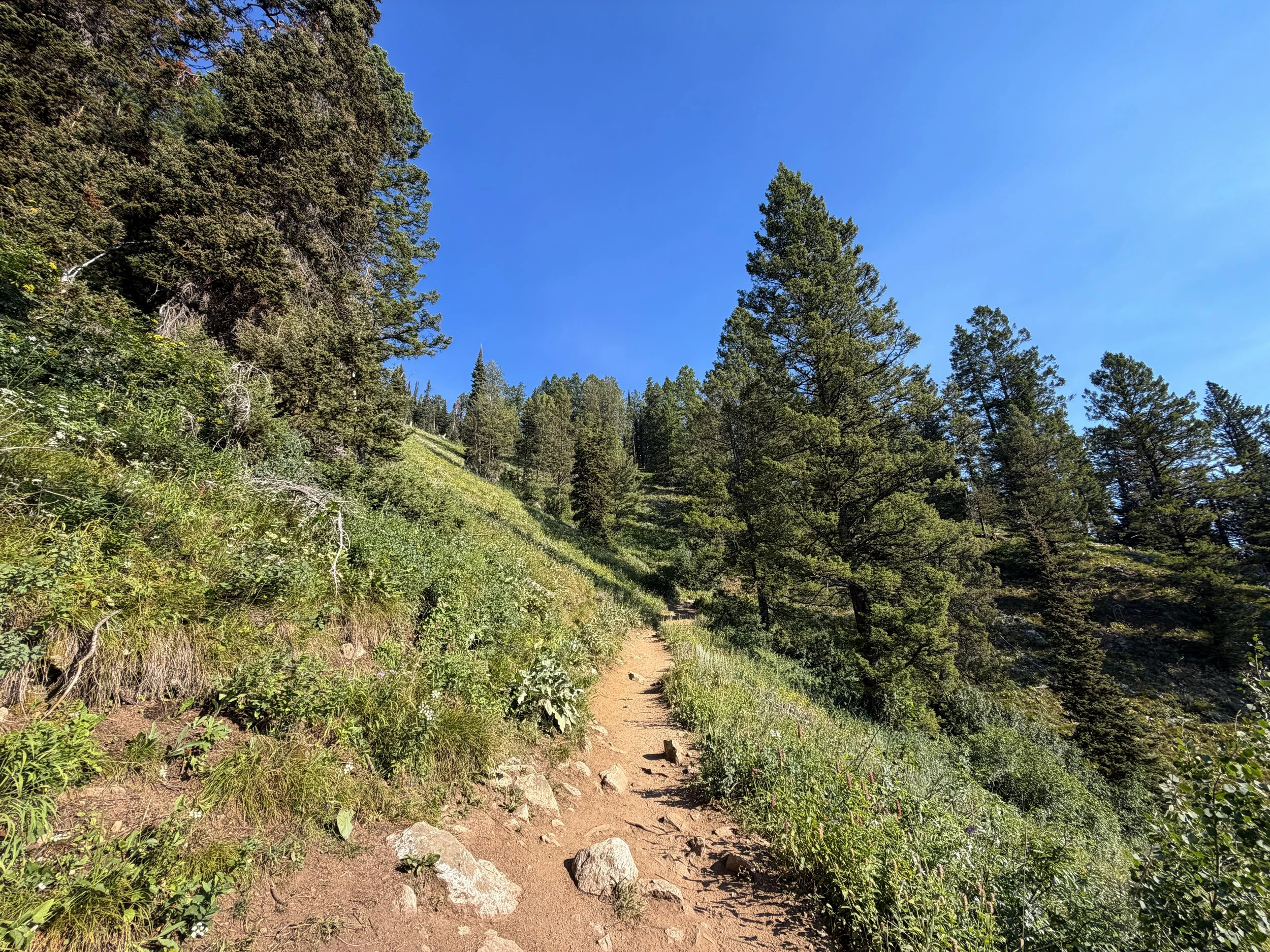 Delta Lake Trail Grand Teton National Park Wyoming