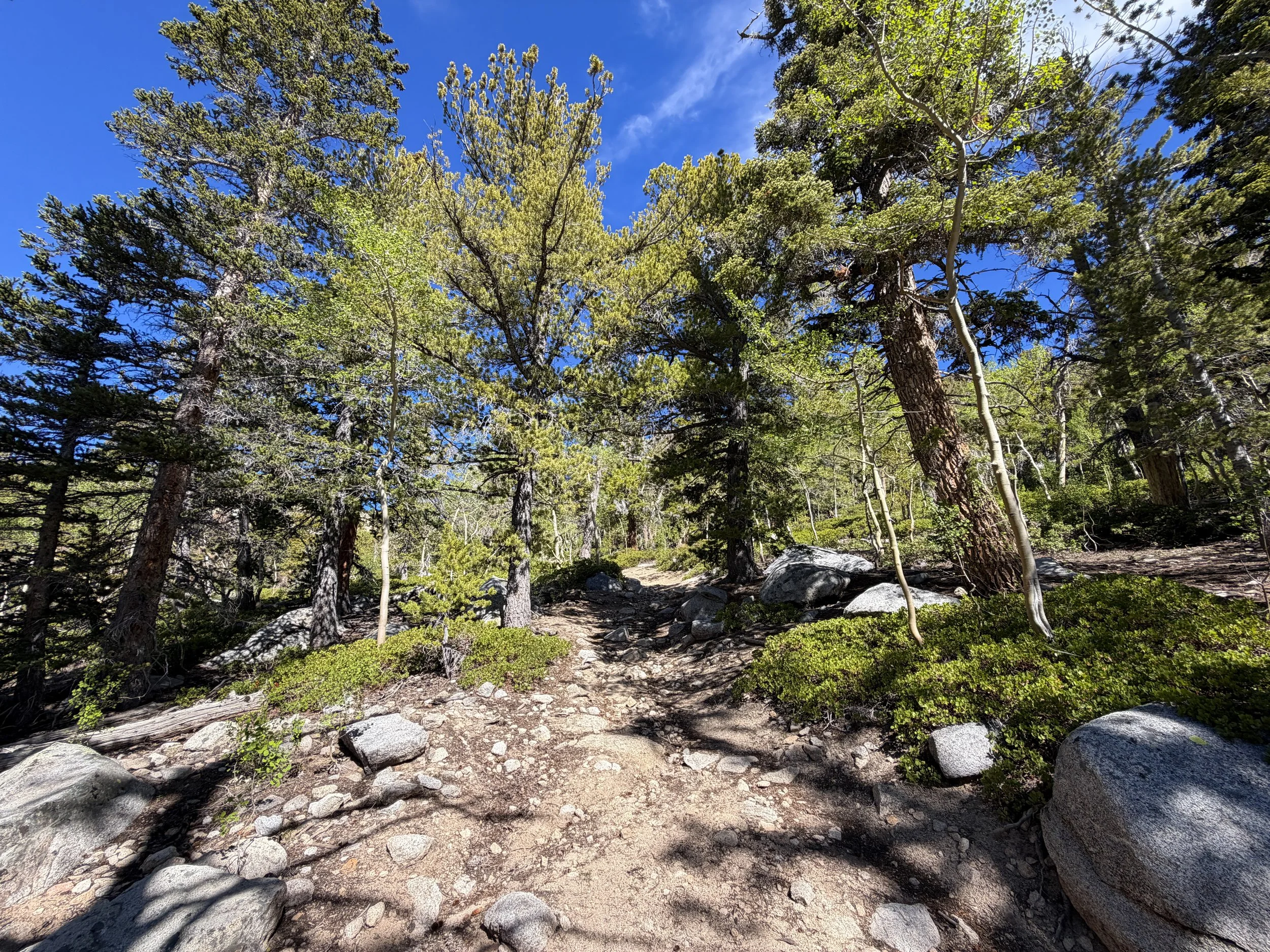 Johnson Lake Trail Great Basin National Park Nevada