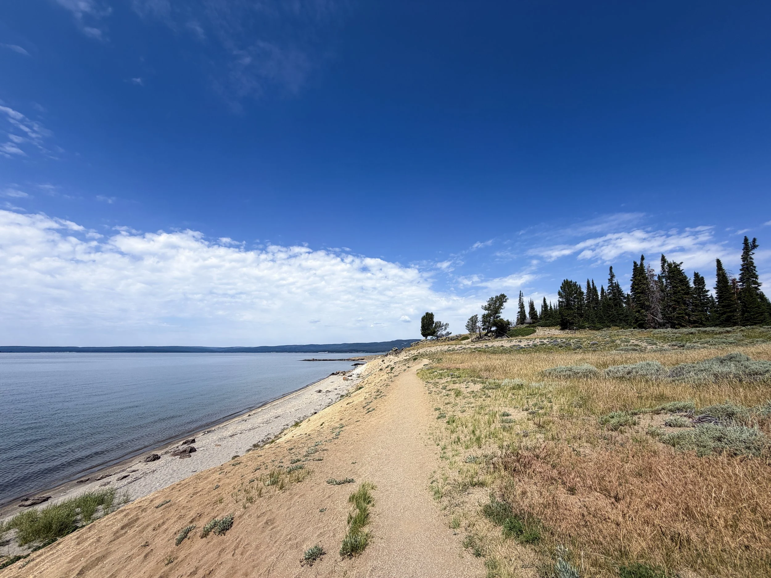 Storm Point Trail Yellowstone National Park Wyoming