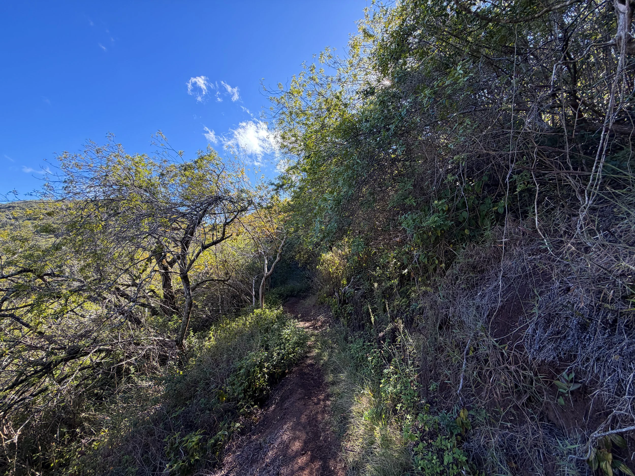 Mokuleia Trail Oahu Hawaii