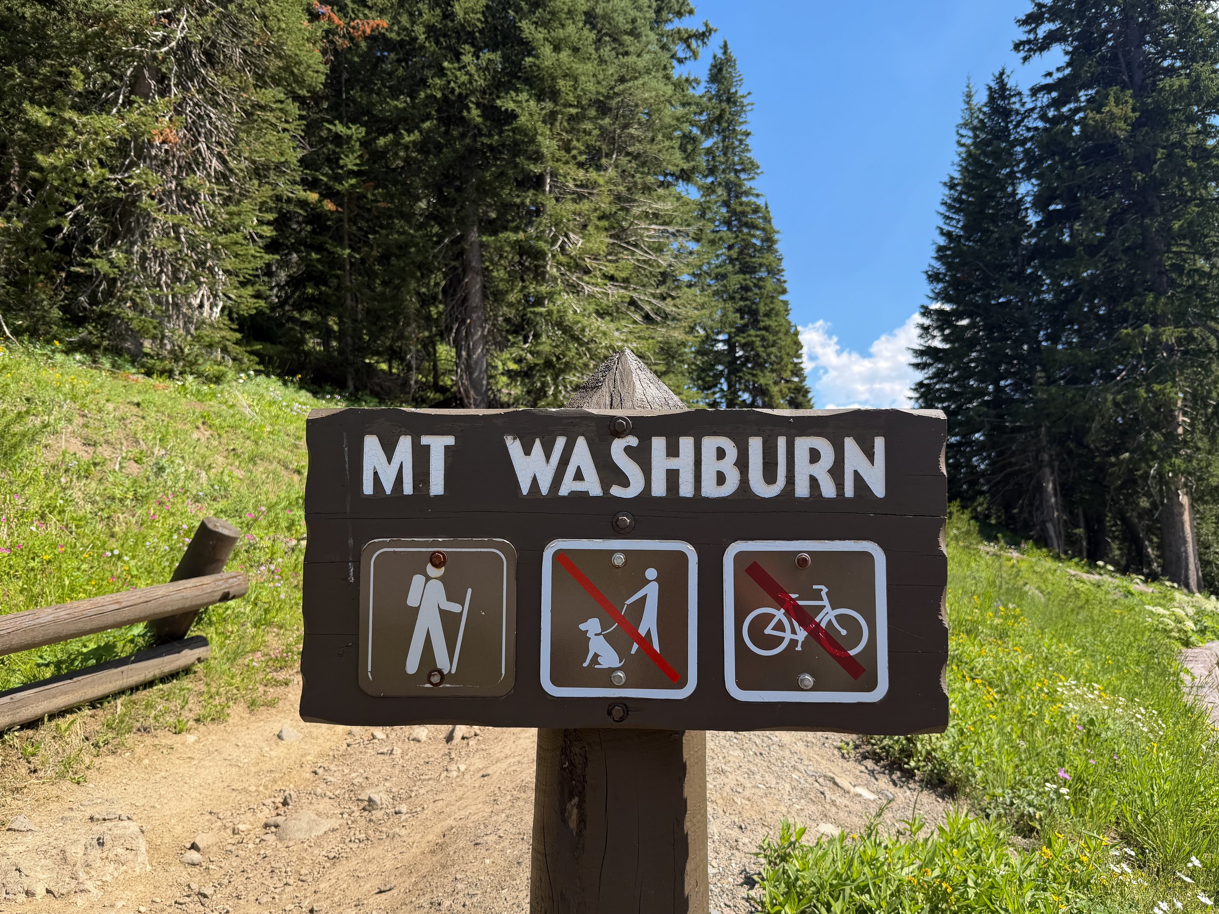 Mt. Washburn Trailhead Dunraven Pass Yellowstone National Park Wyoming
