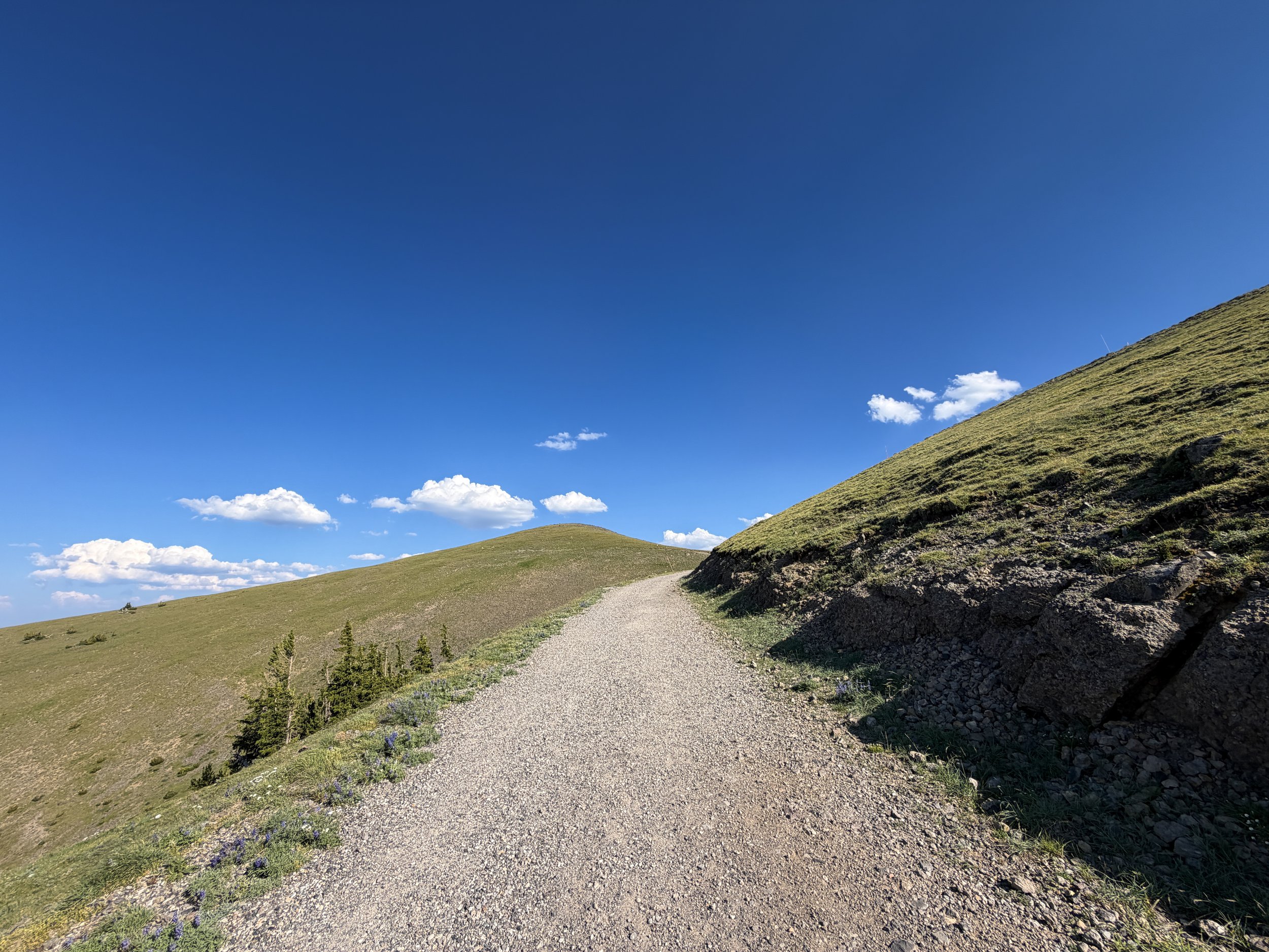 Mount Washburn Hike via Chittenden Road Yellowstone National Park Wyoming