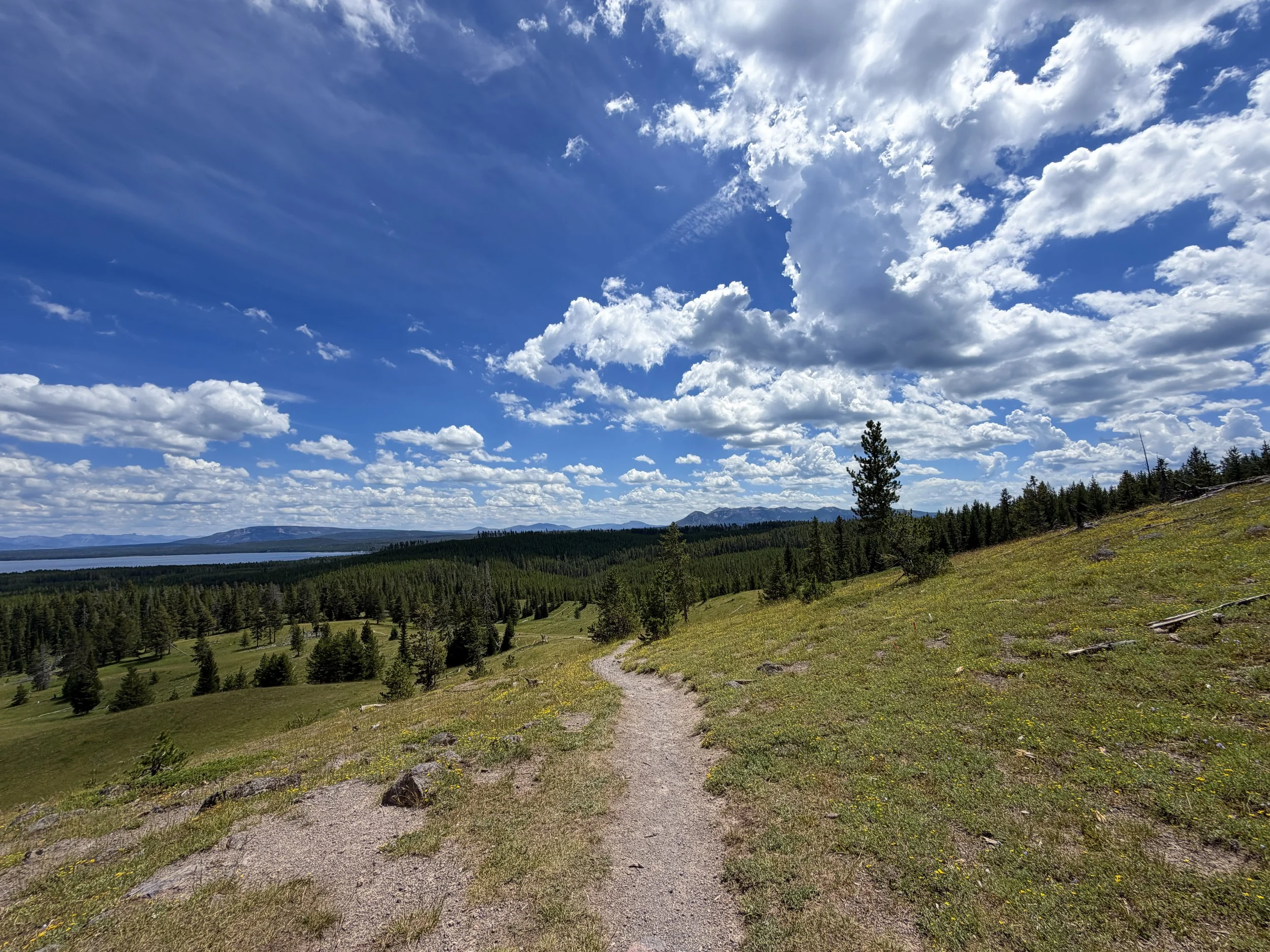 Yellowstone Lake Overlook Trail Yellowstone National Park Wyoming