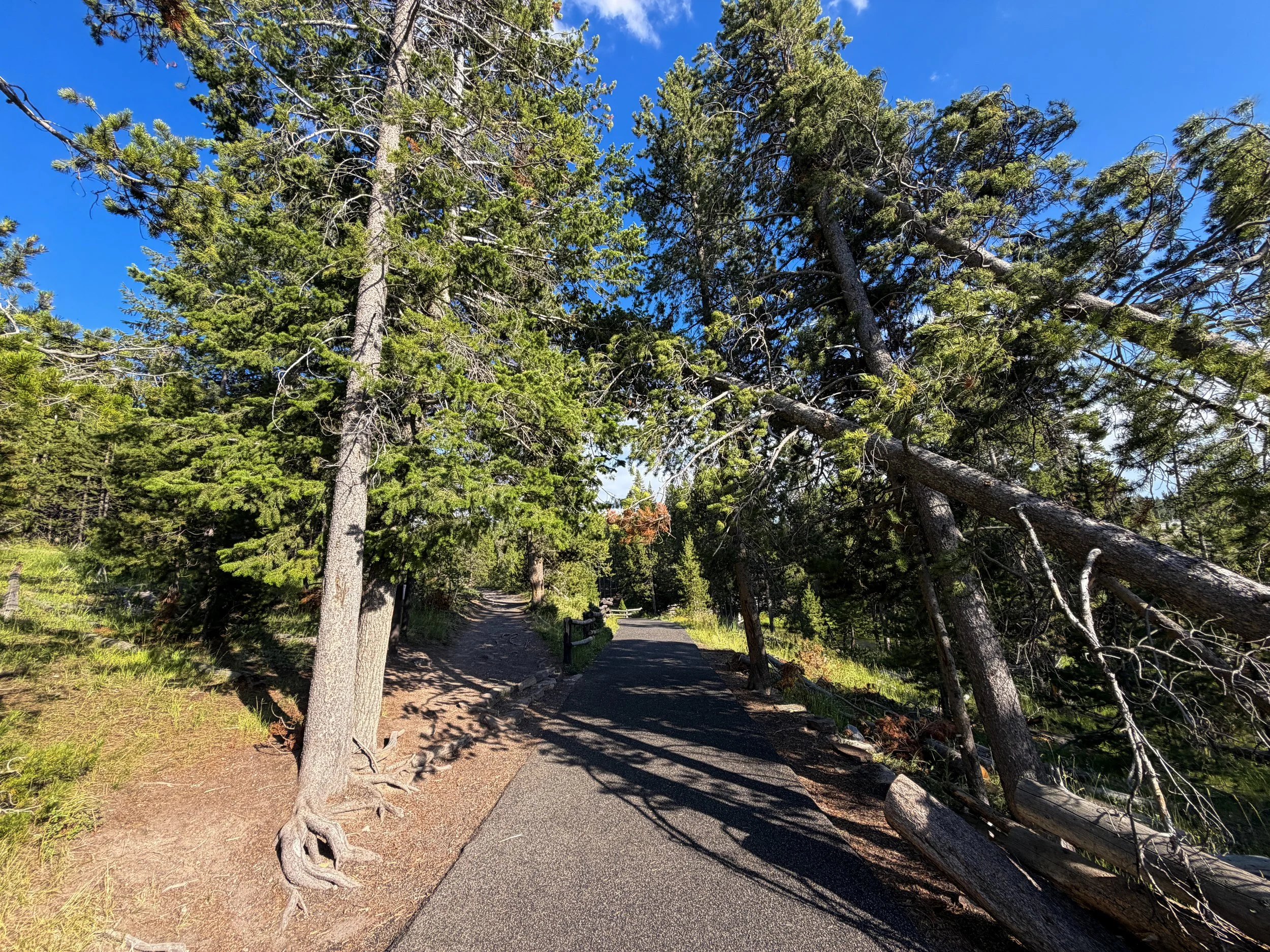 Observation Point Trail Yellowstone National Park Wyoming