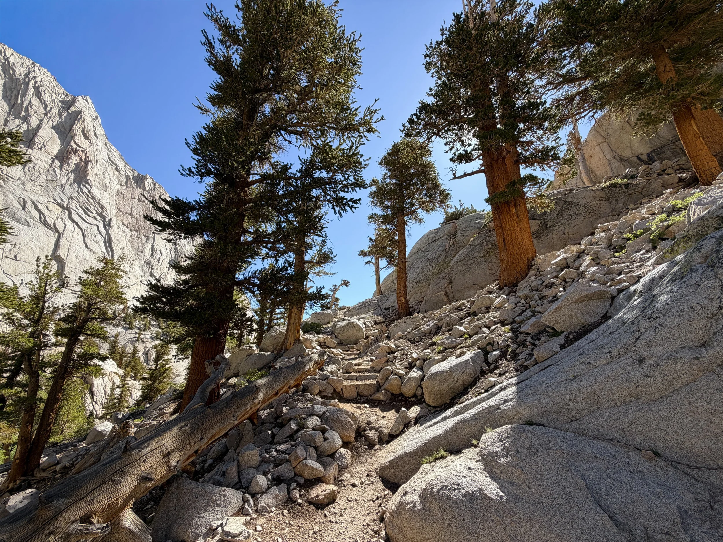 Mount Whitney Trail Lone Pine California