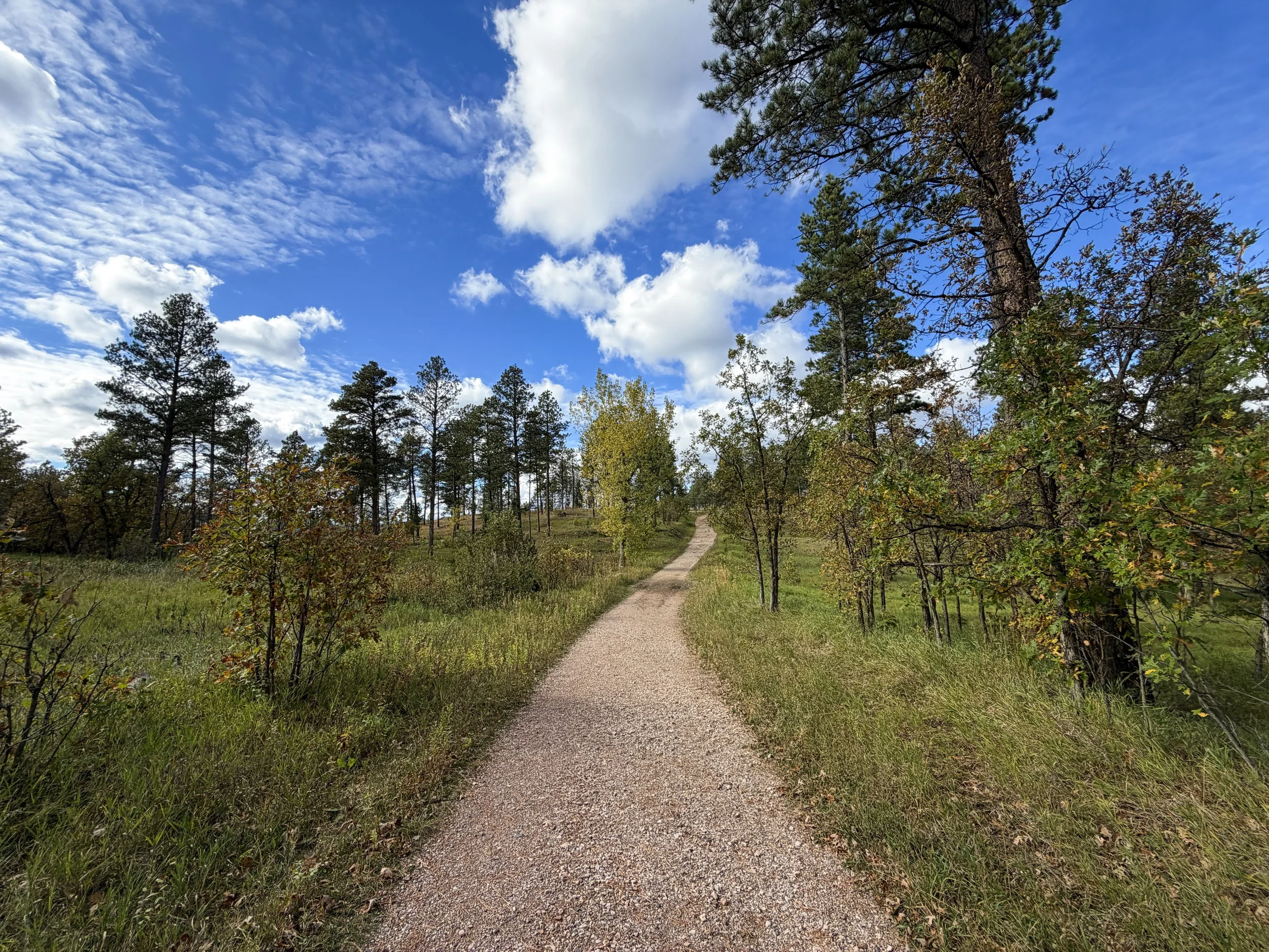 Stratobowl Rim Hike Black Hills South Dakota