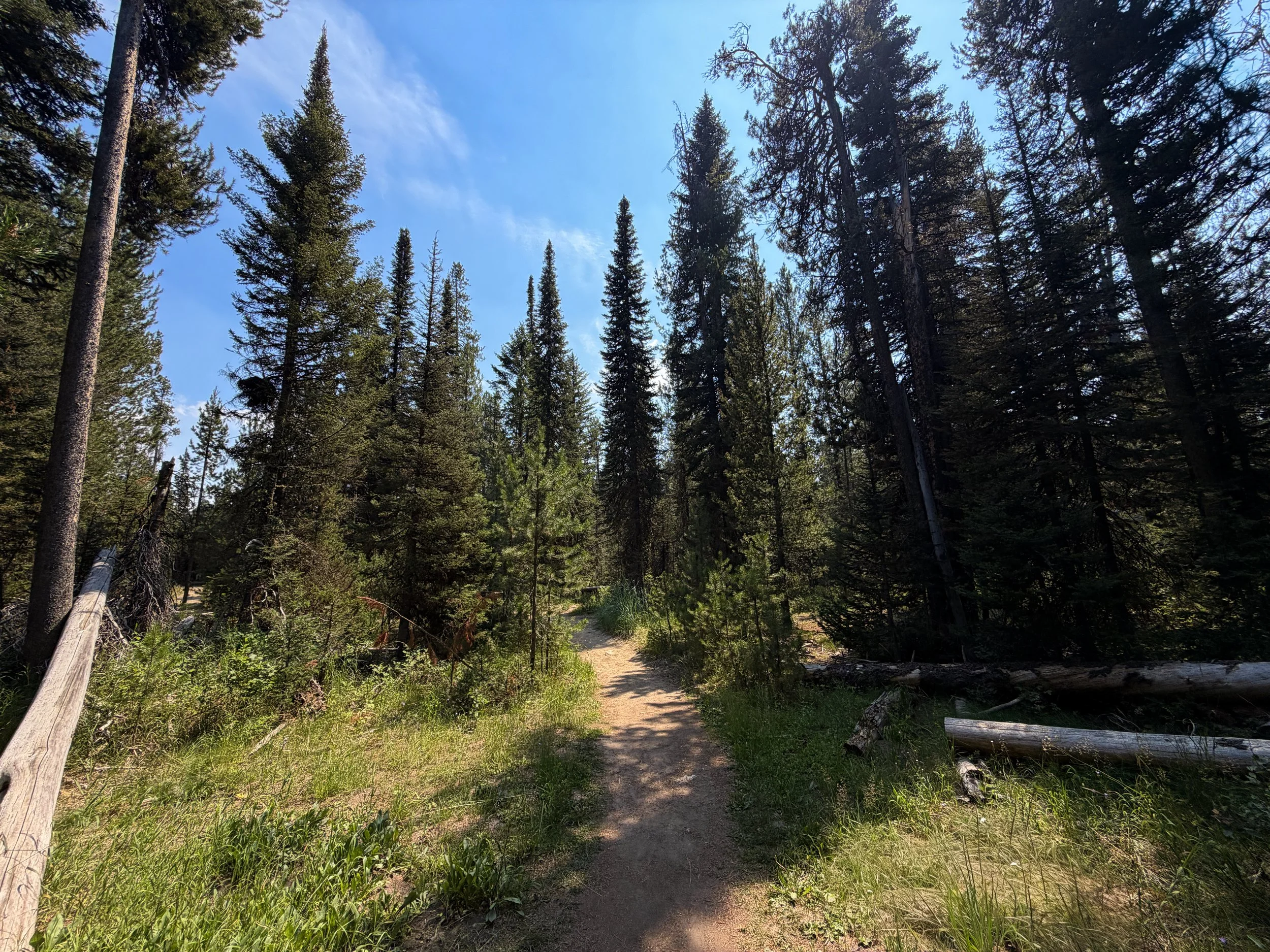Phelps Lake Loop Trail Grand Teton National Park Wyoming