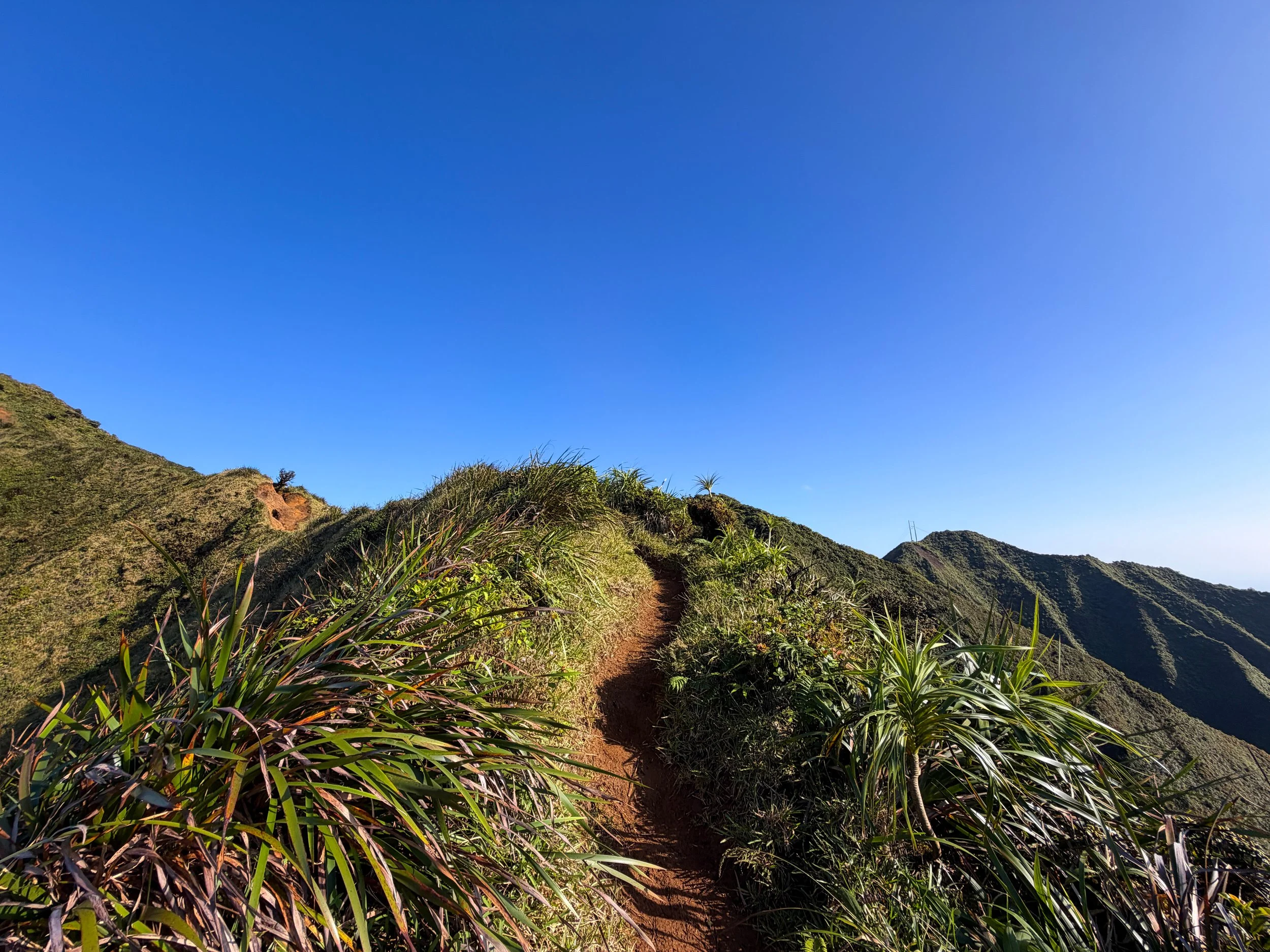 Moanalua Middle Ridge Trail to Stairway to Heaven Oahu Hawaii