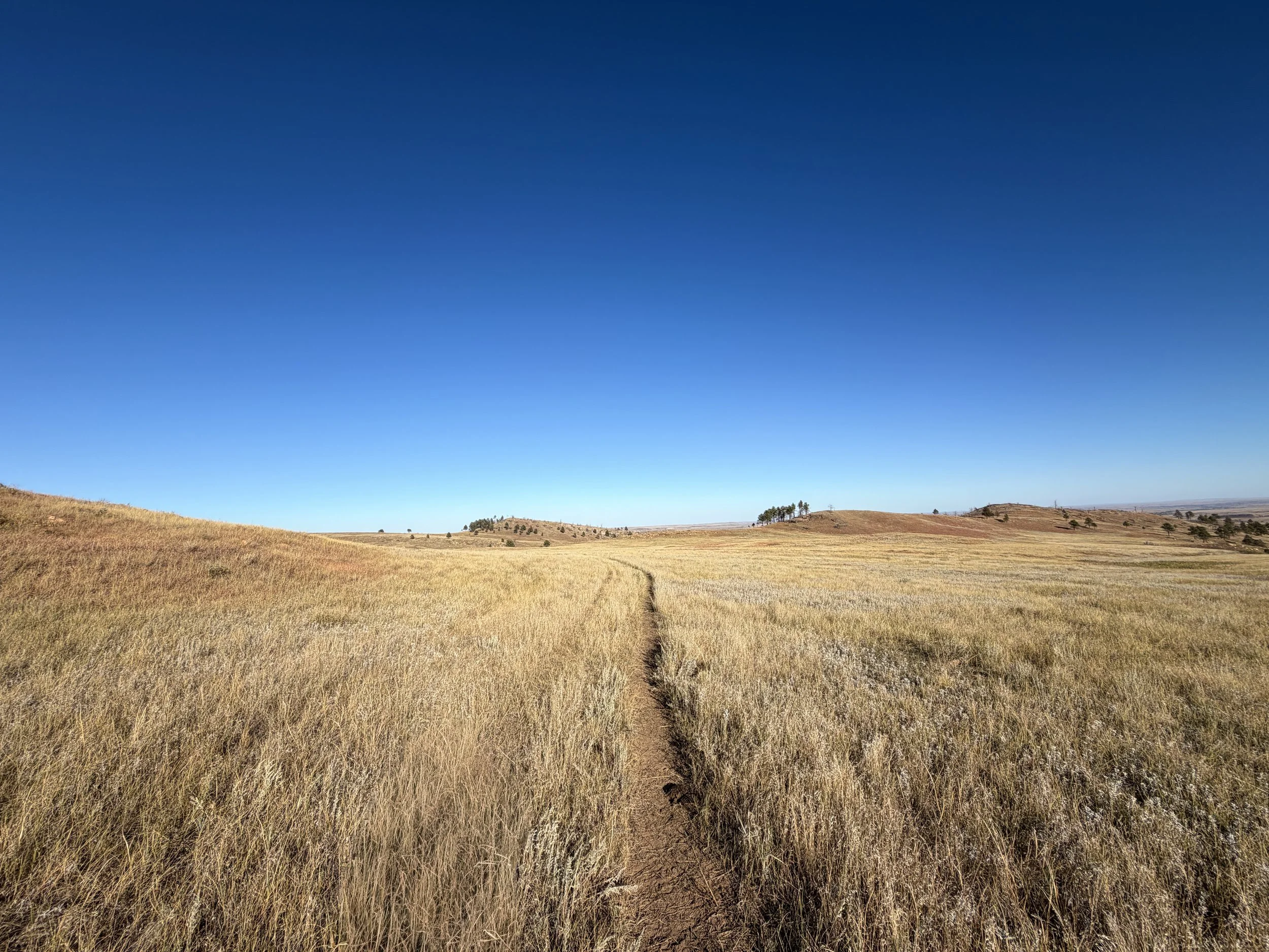 Boland Ridge Trail Wind Cave National Park South Dakota