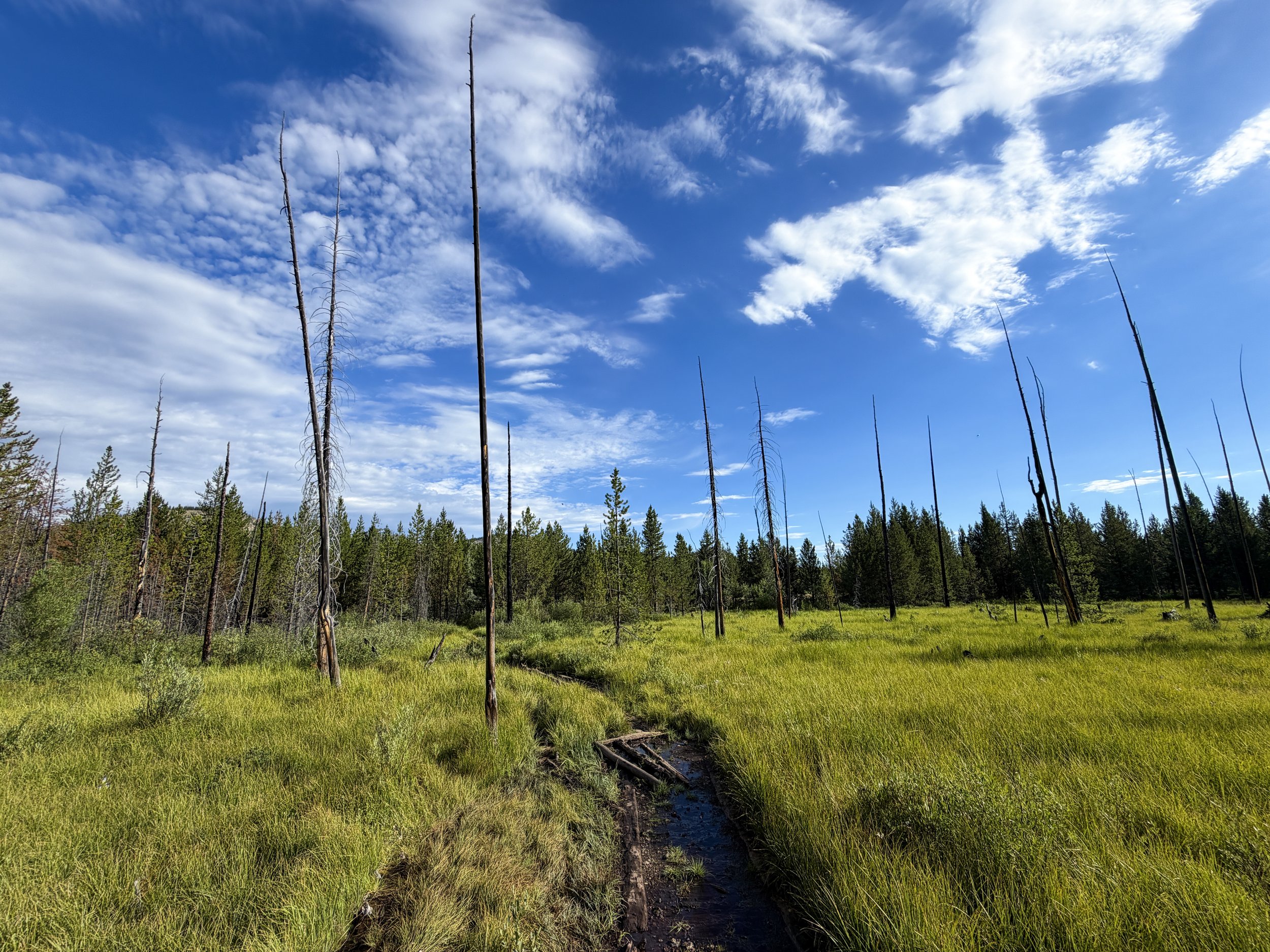 Fairy Falls Trail to Imperial Geyser Yellowstone National Park Wyoming