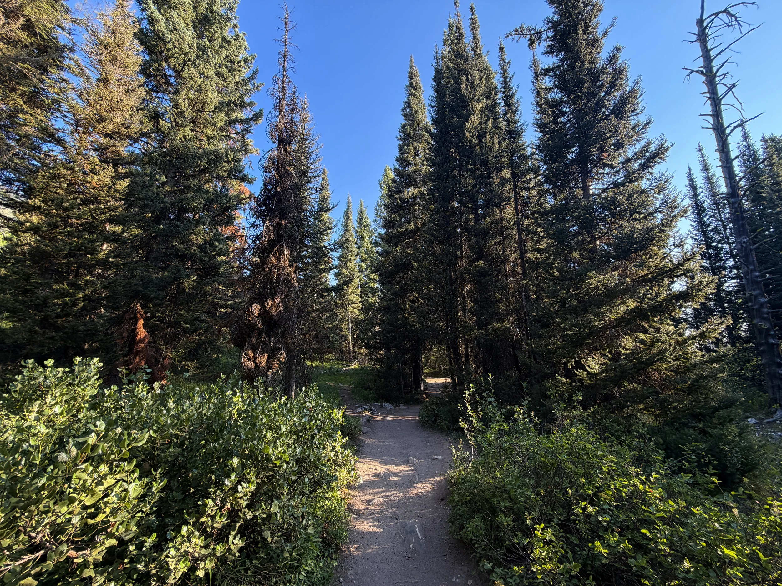 Hidden Falls via Jenny Lake Loop Trail Grand Teton National Park Wyoming