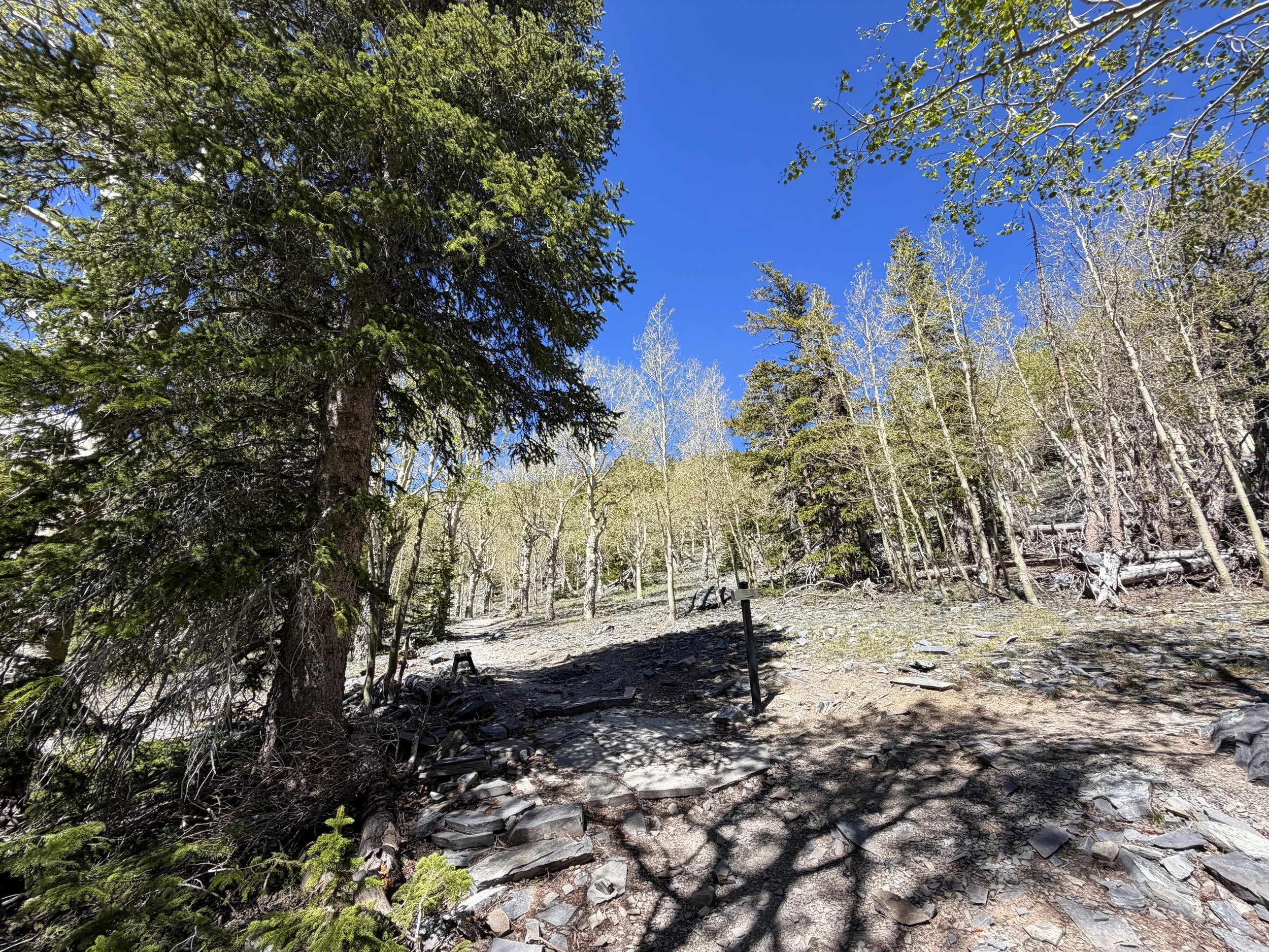 Alpine Lakes Trail Great Basin National Park Nevada