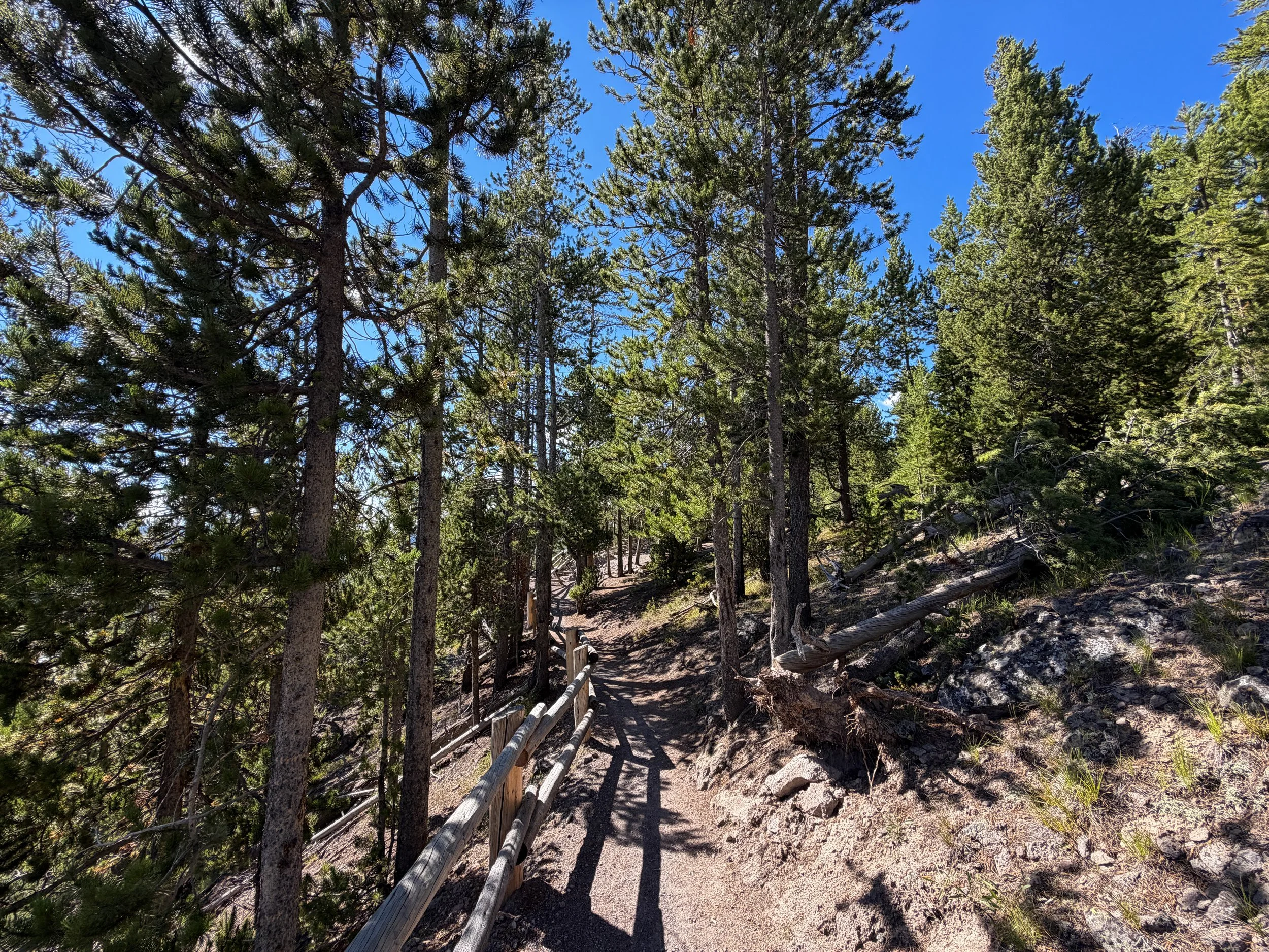 Observation Point Loop Trail Yellowstone National Park Wyoming