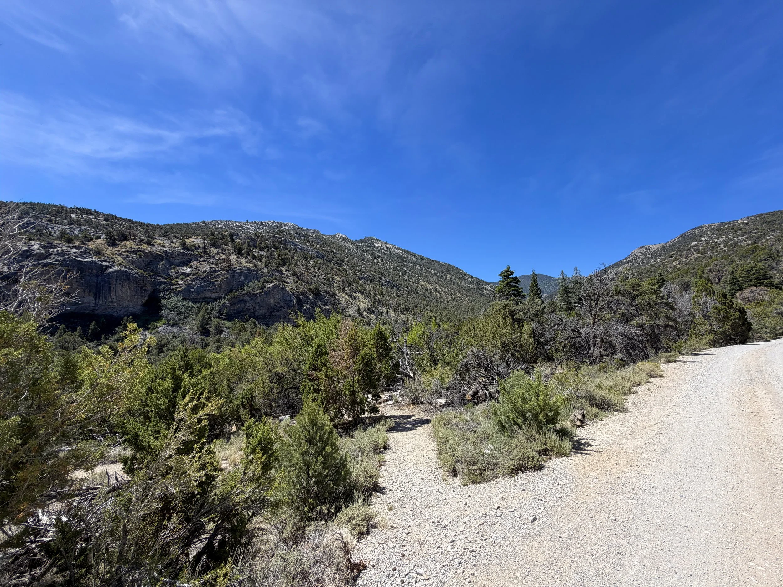 Pole Canyon Loop Trail Great Basin National Park Nevada
