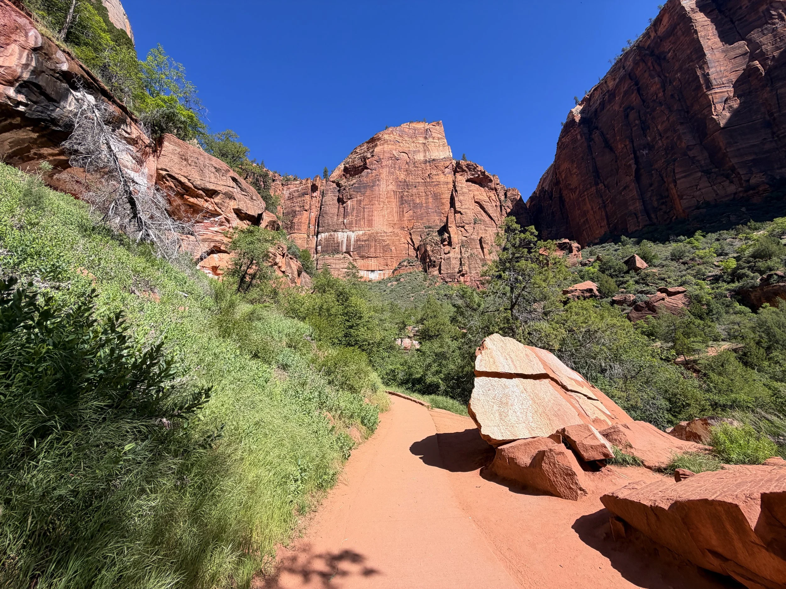 Lower Emerald Pools Hike Zion National Park Utah
