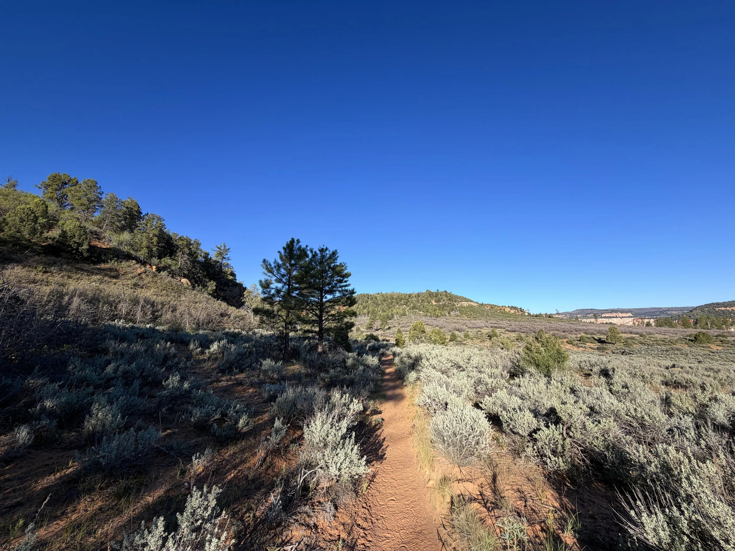 Deertrap Mountain Trail Zion National Park Utah