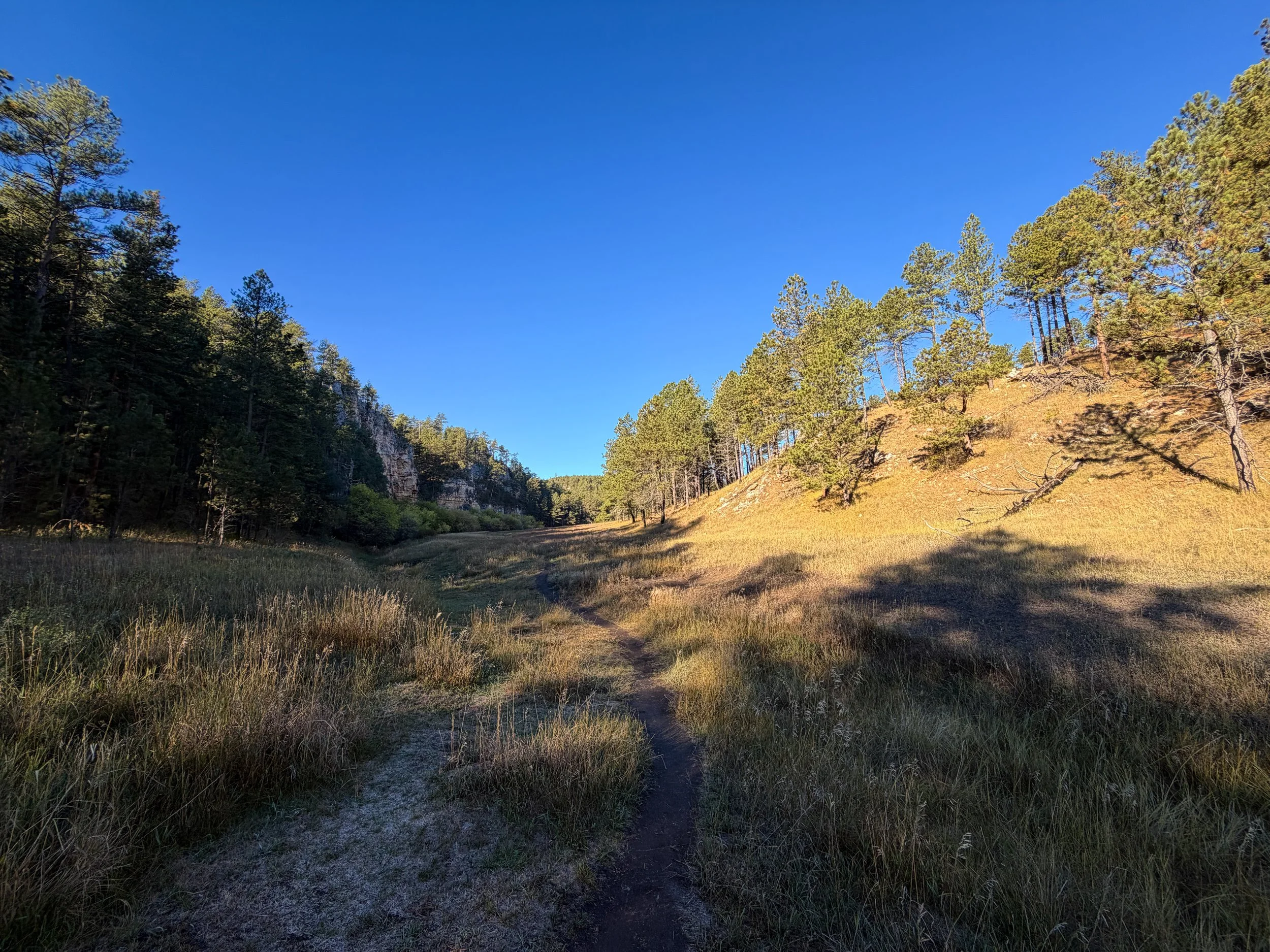 Cold Brook Canyon Trail Wind Cave National Park South Dakota