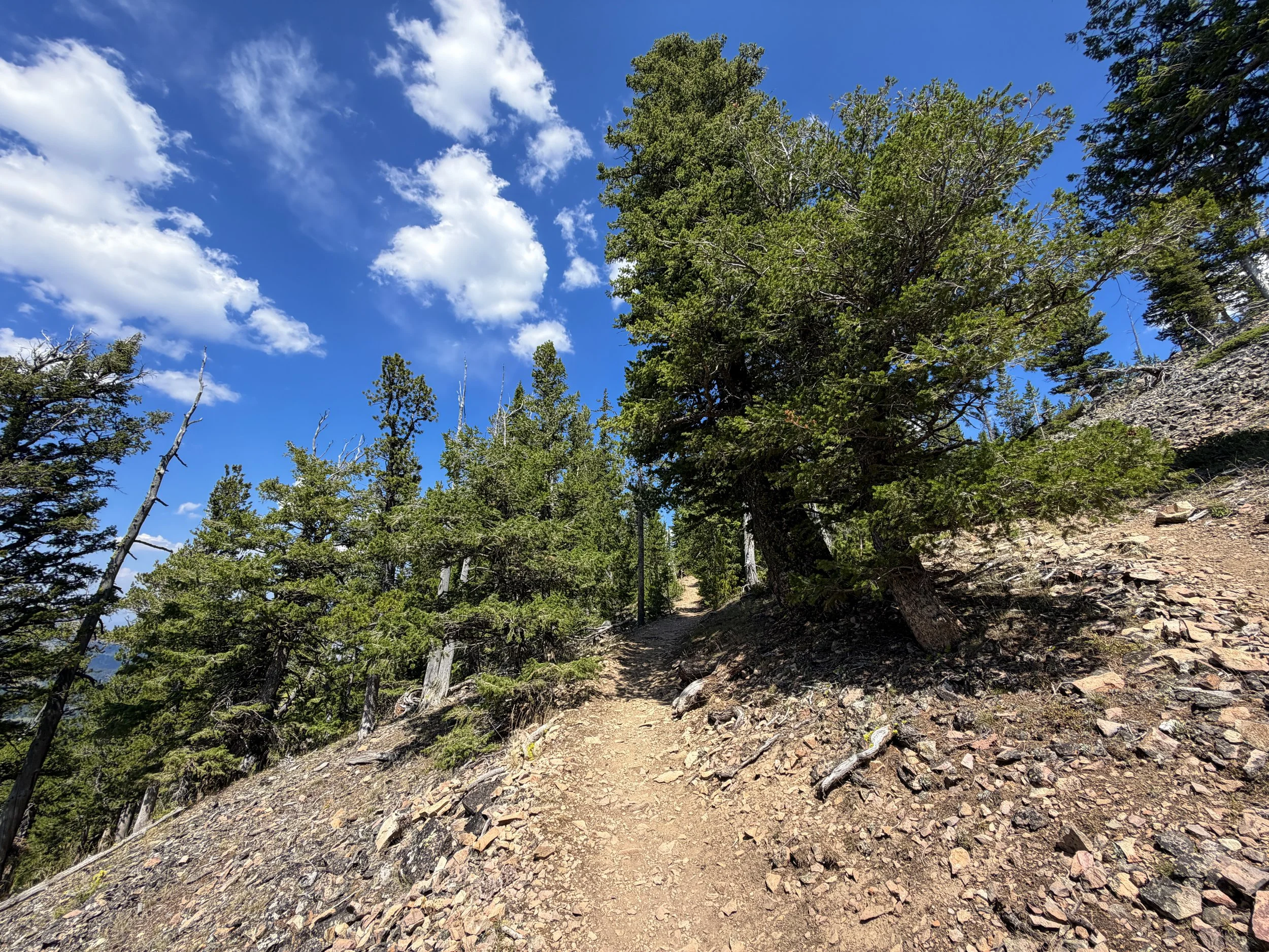 Bunsen Peak Trail Yellowstone National Park Wyoming