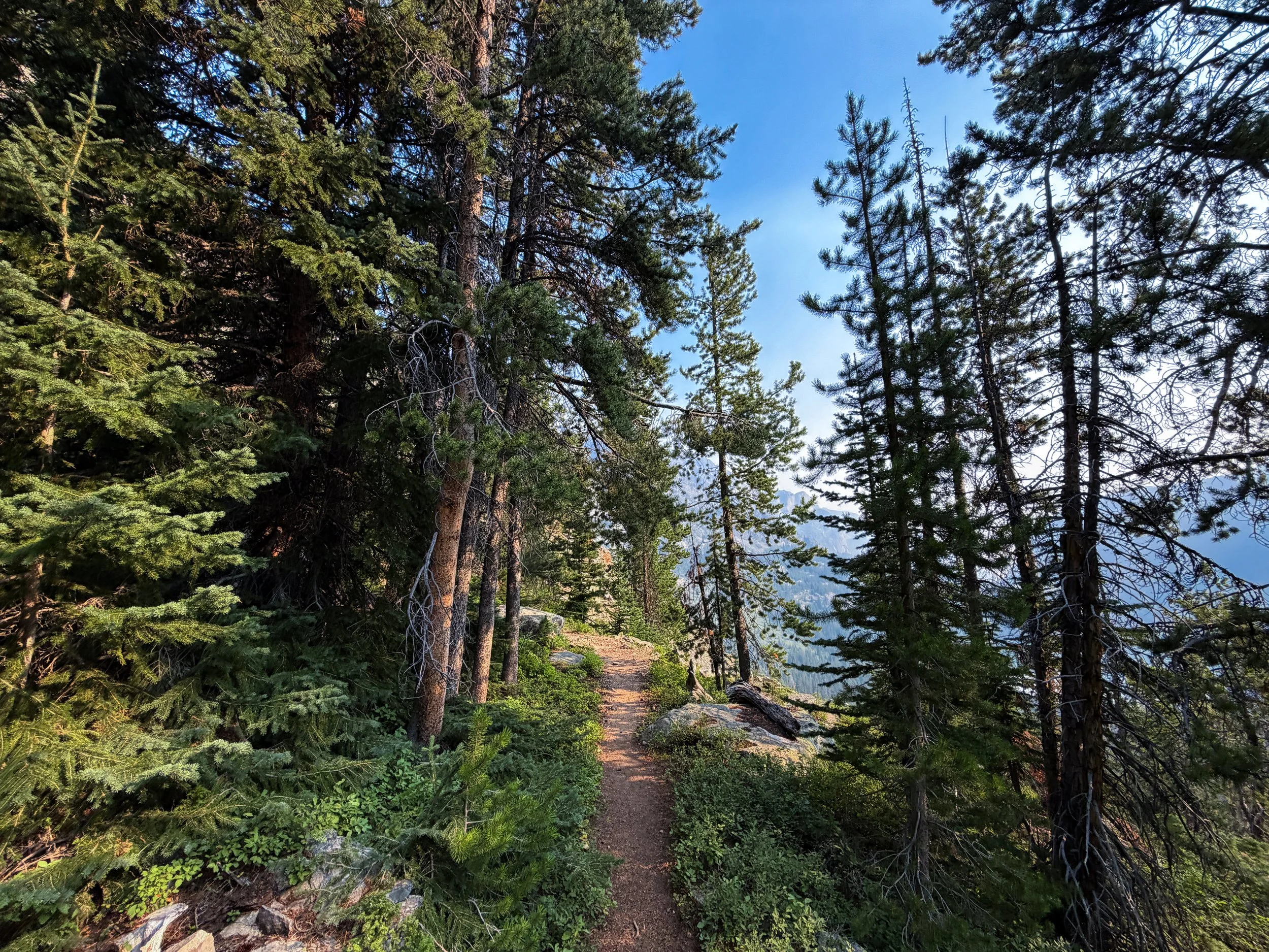 East Rosebud Trail Beaten Path Beartooth Mountains Montana