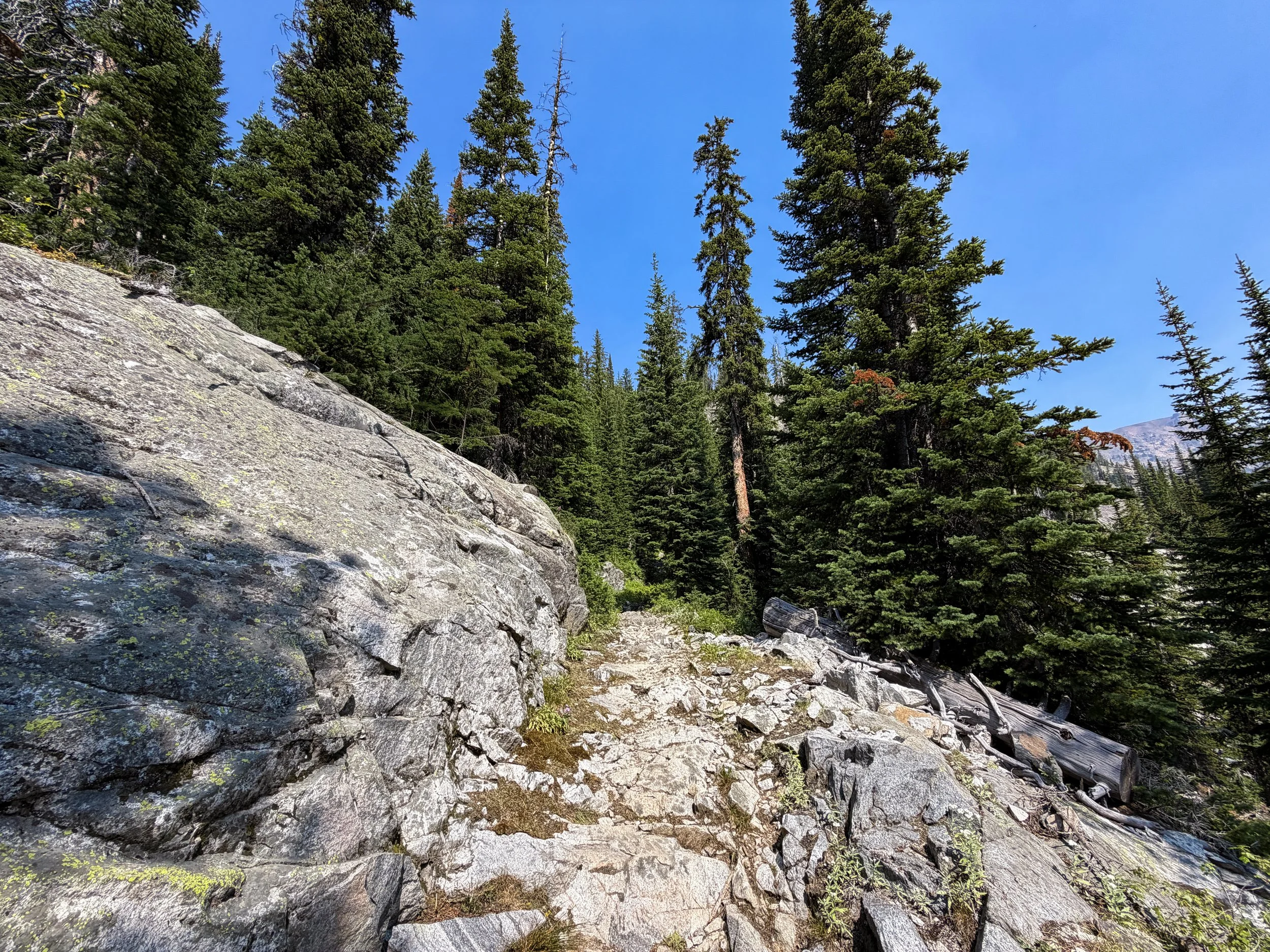 East Rosebud Trail The Beaten Path Beartooth Mountains Montana