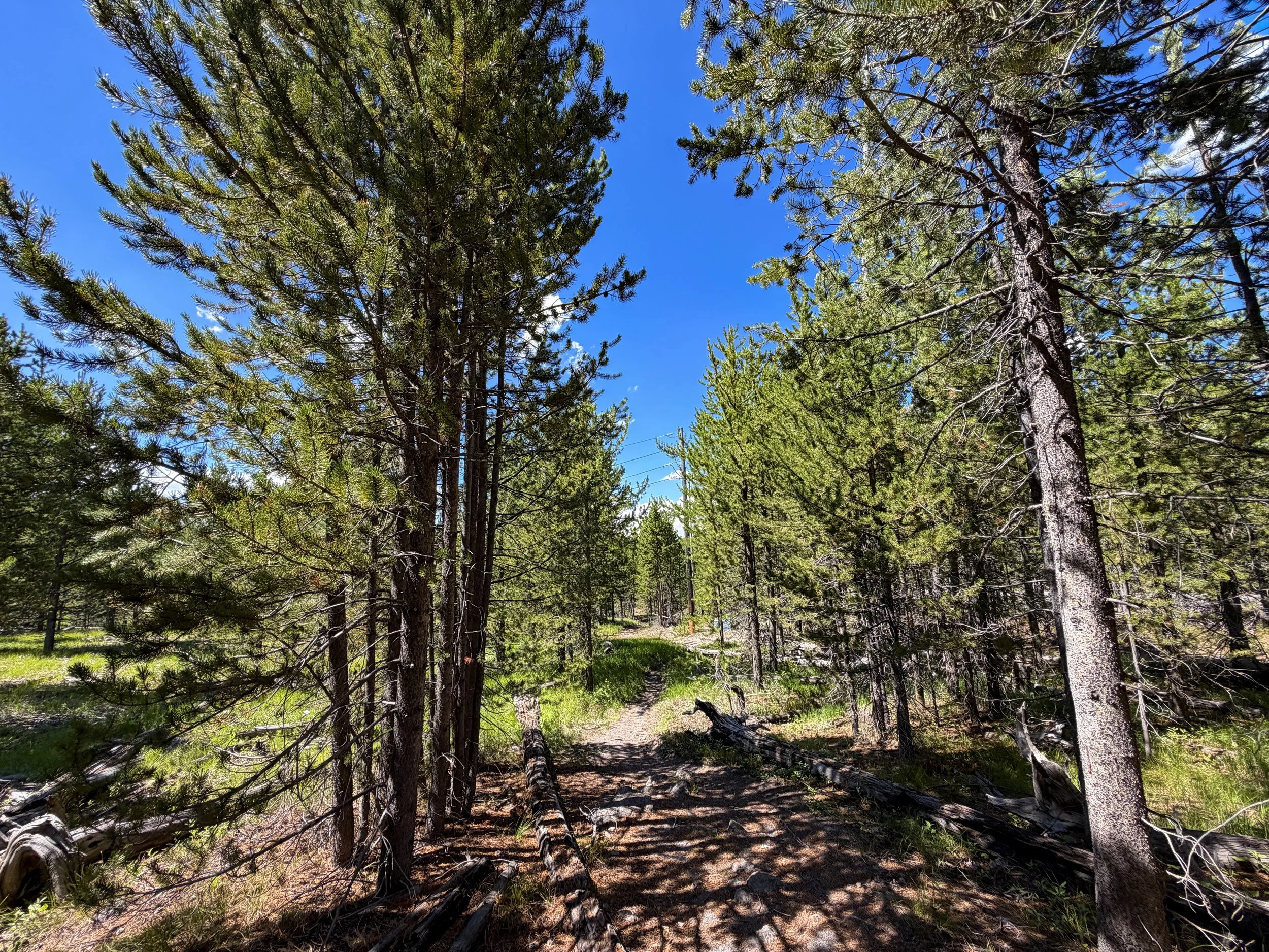 Fern Cascade Loop Trail Yellowstone National Park Wyoming