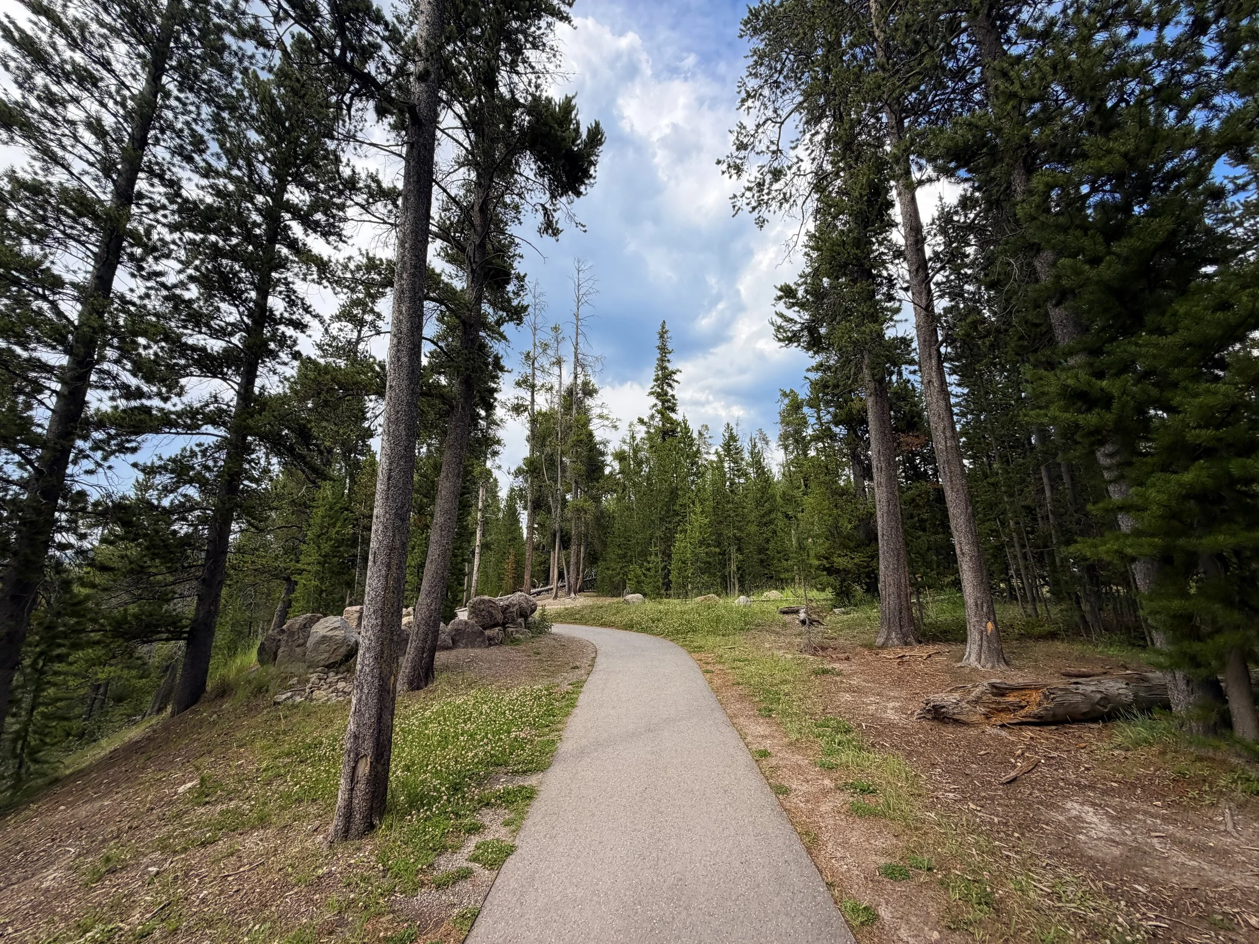 South Rim Trail Yellowstone National Park Wyoming