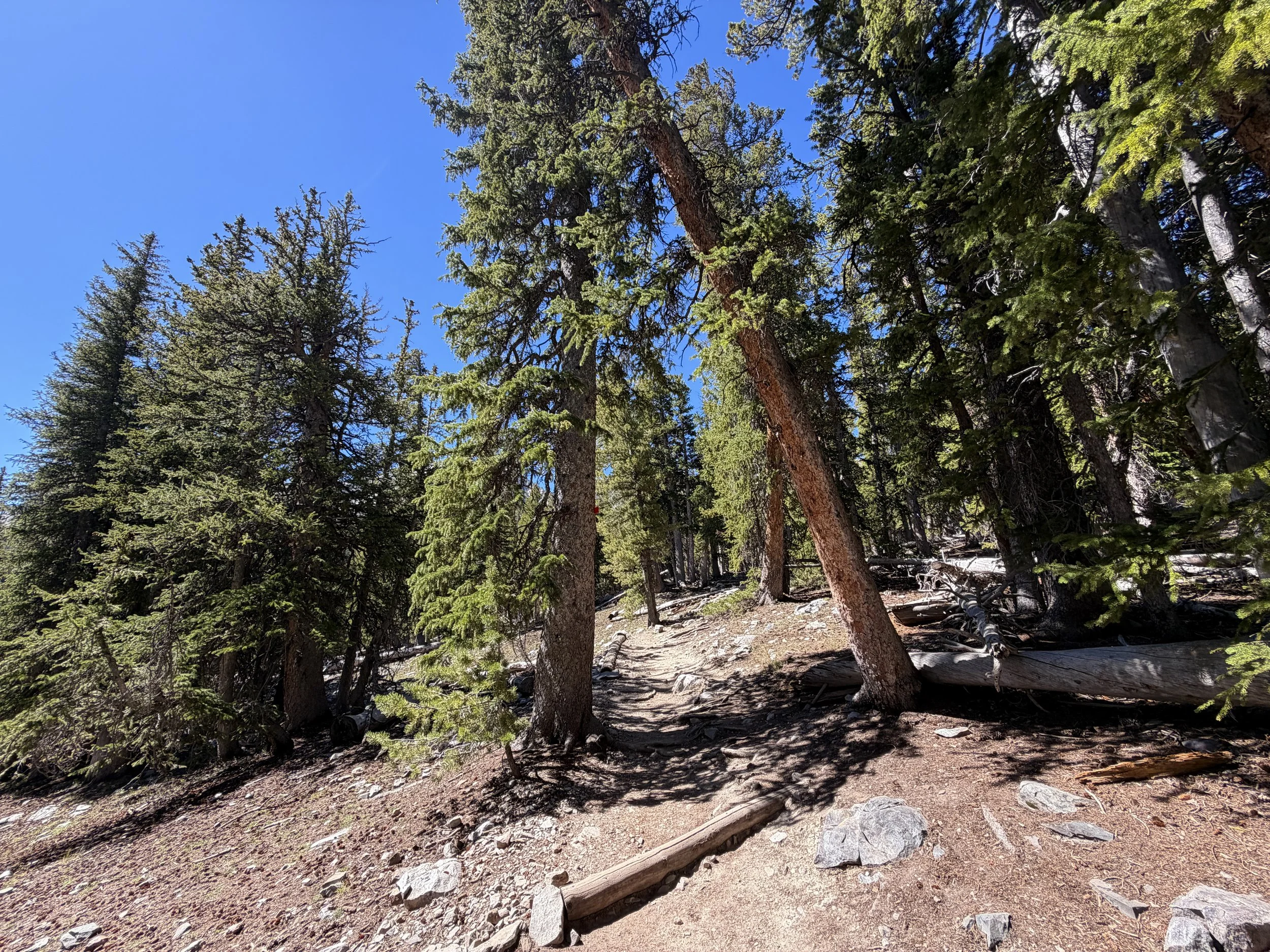 Alpine Lakes Loop Trail Great Basin National Park Nevada