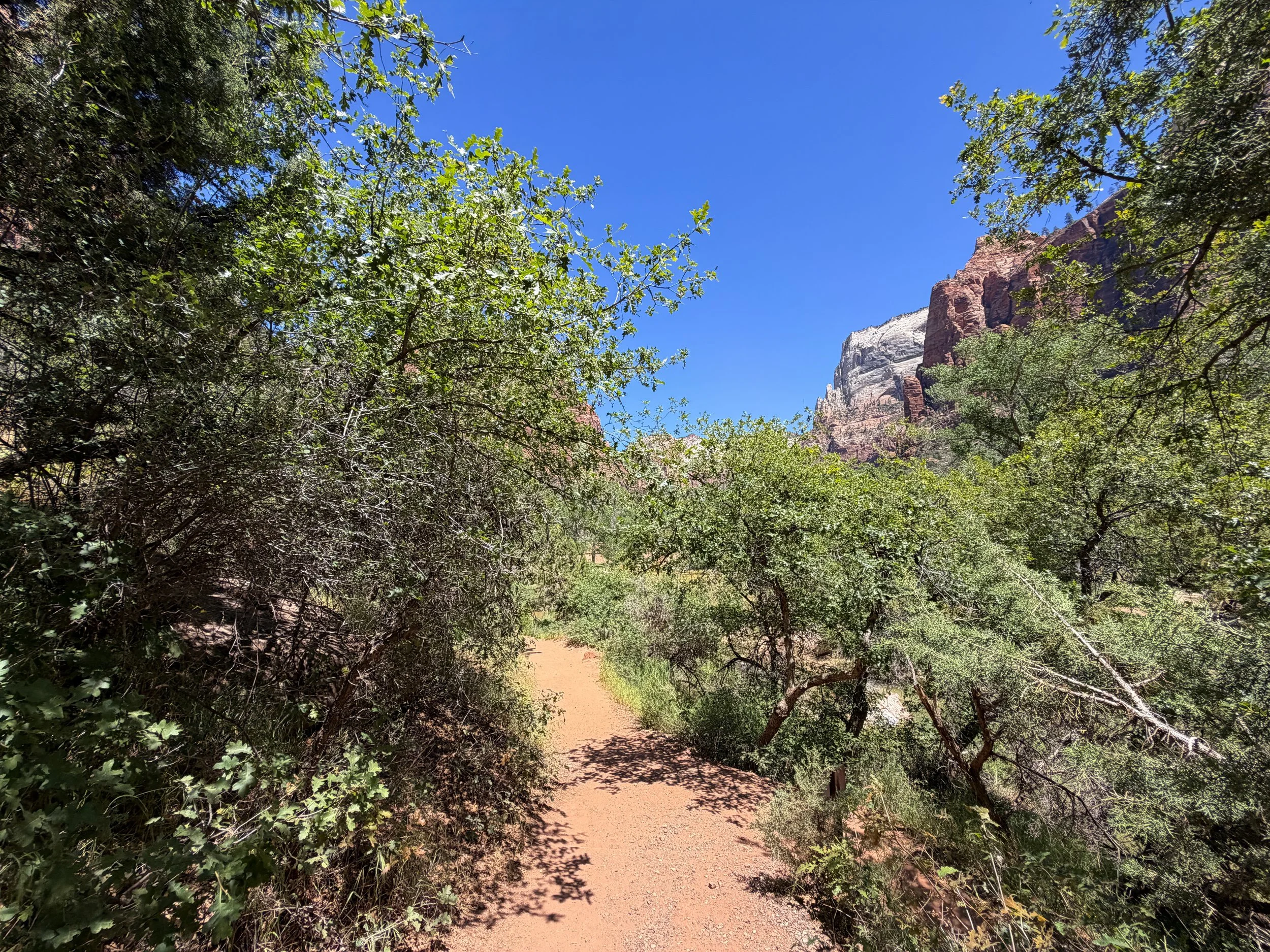Emerald Pools Trail Zion National Park Utah