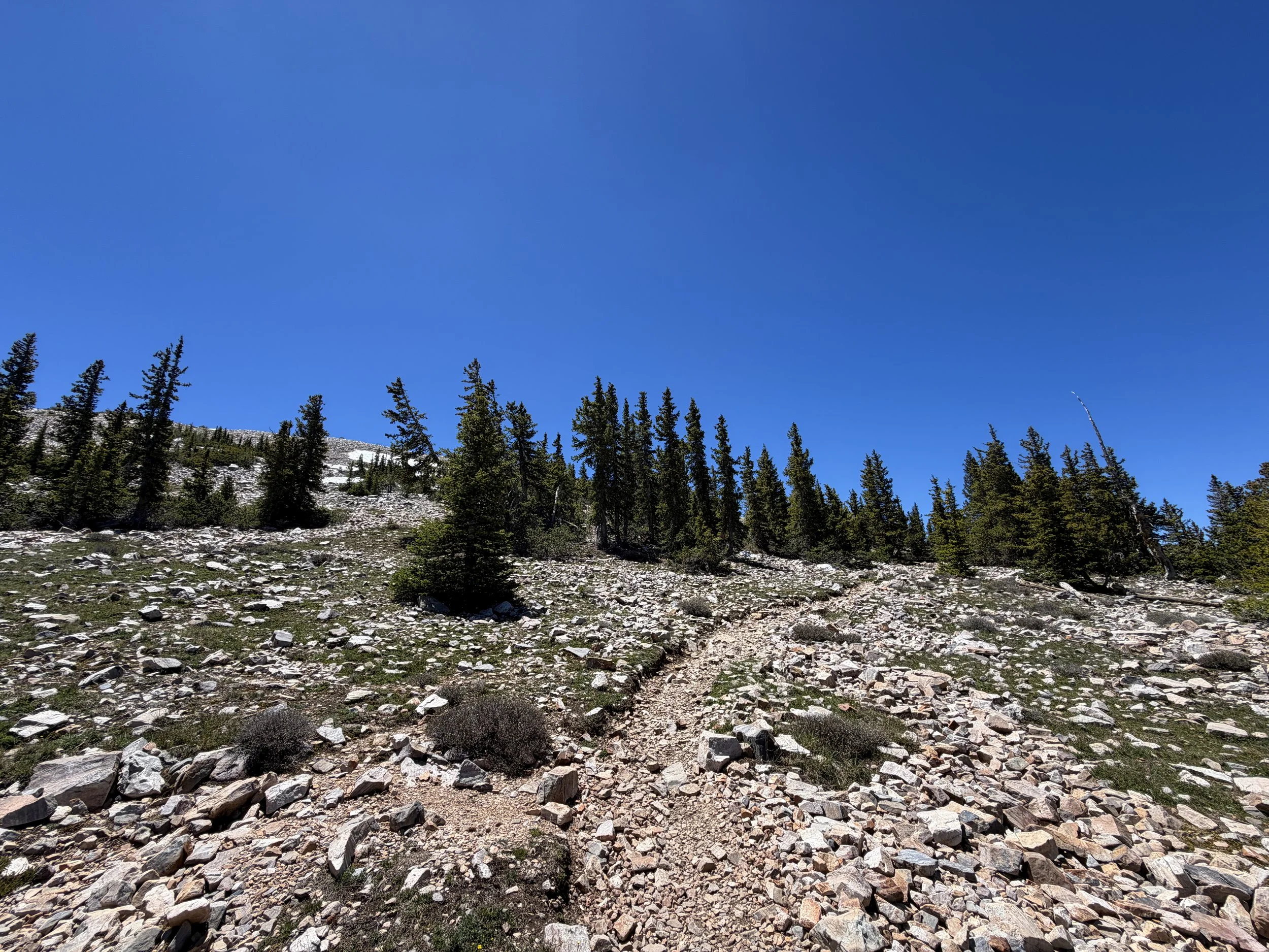 Wheeler Peak Summit Trail Great Basin National Park Nevada