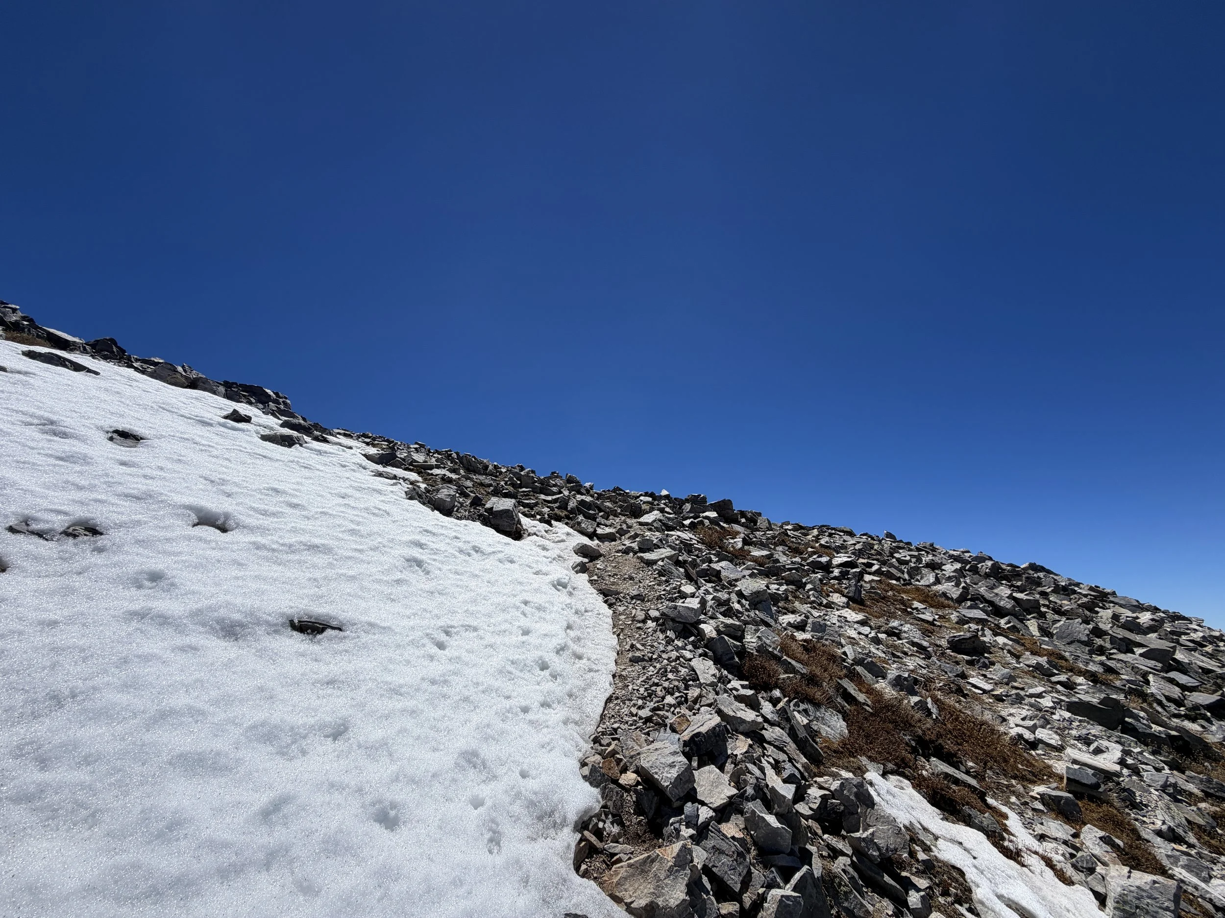 Wheeler Peak Summit Trail Great Basin National Park Nevada