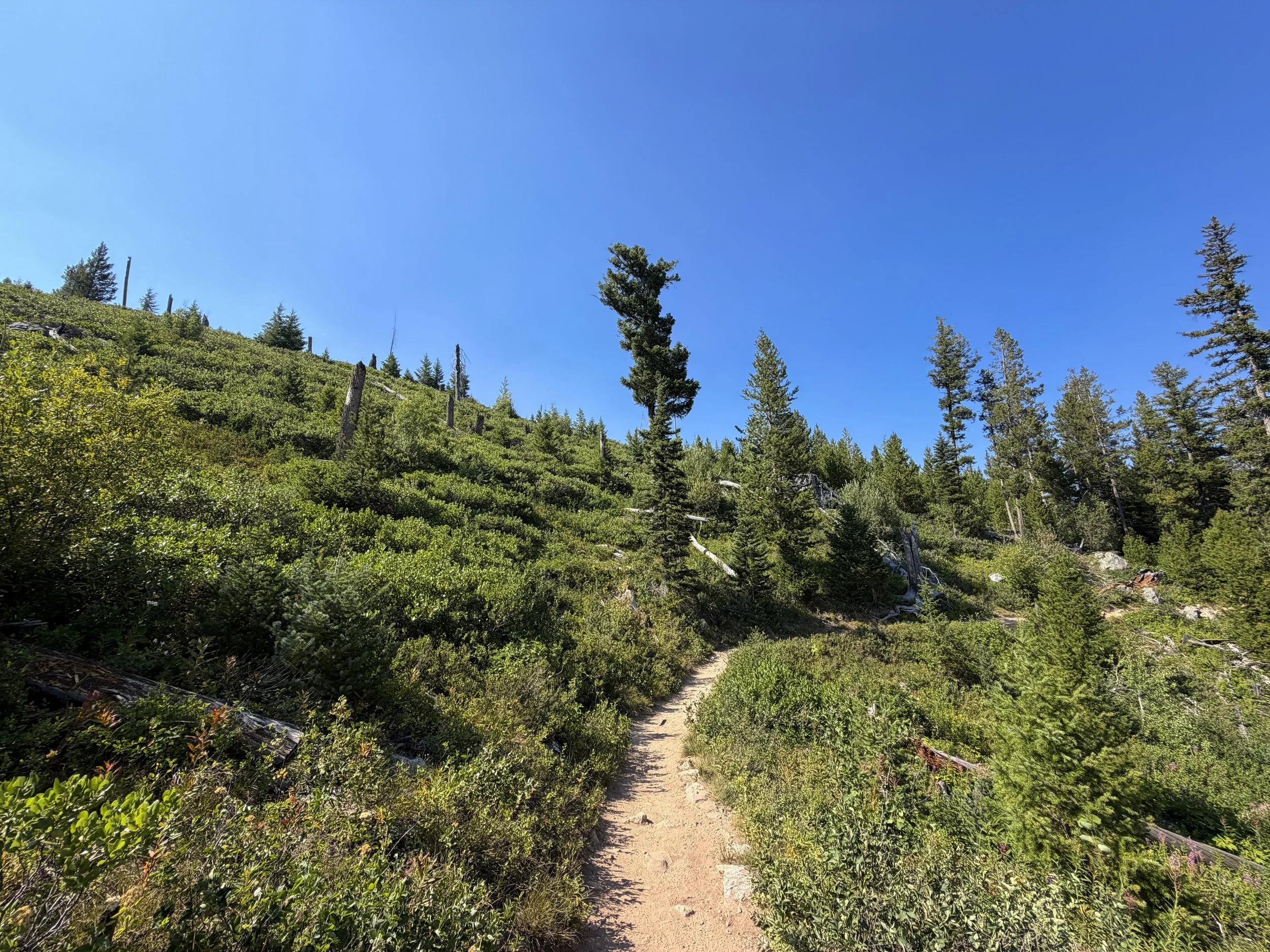 Jenny Lake Loop Trail Grand Teton National Park Wyoming