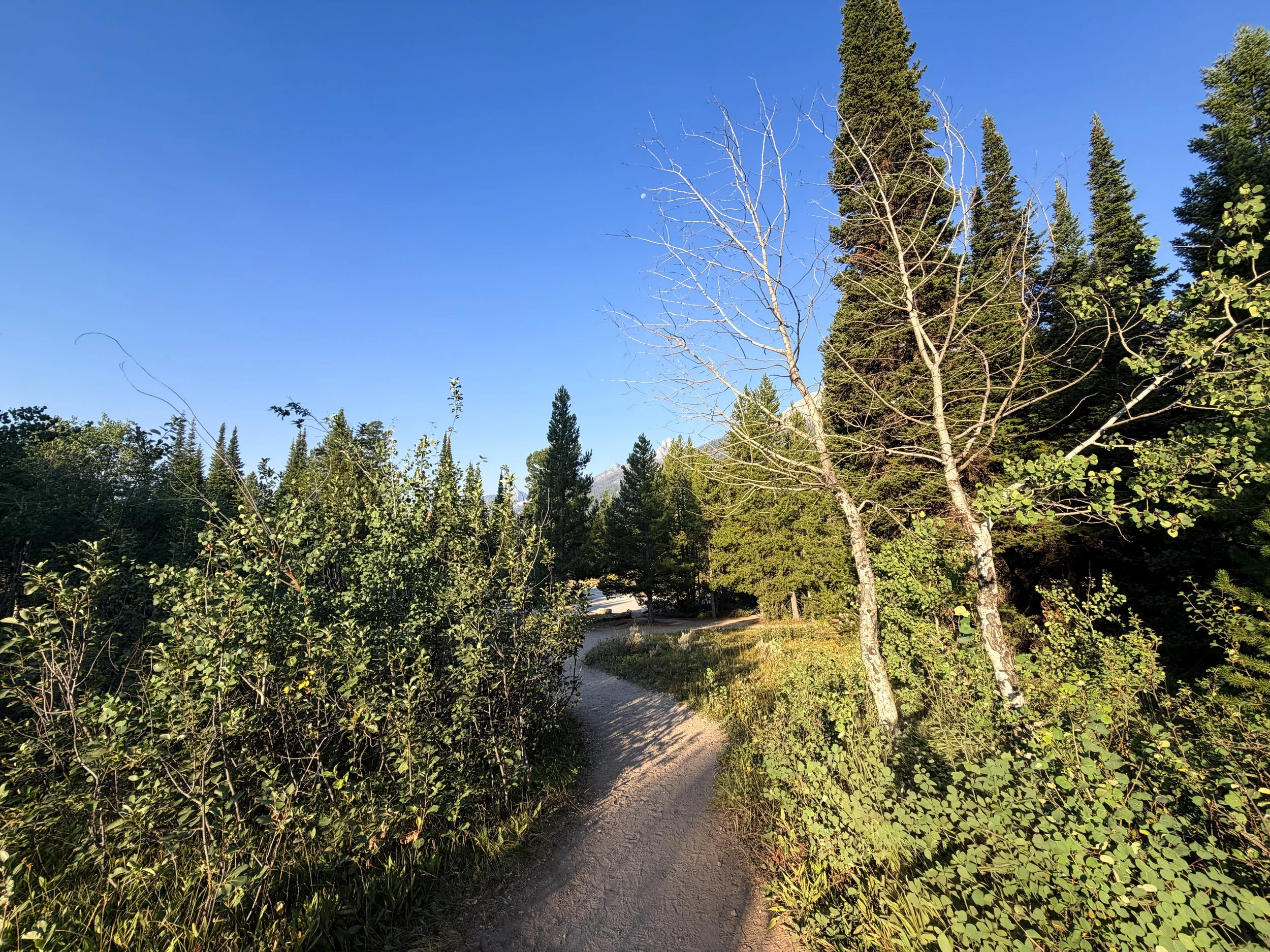 Hidden Falls Trail via Jenny Lake Grand Teton National Park Wyoming